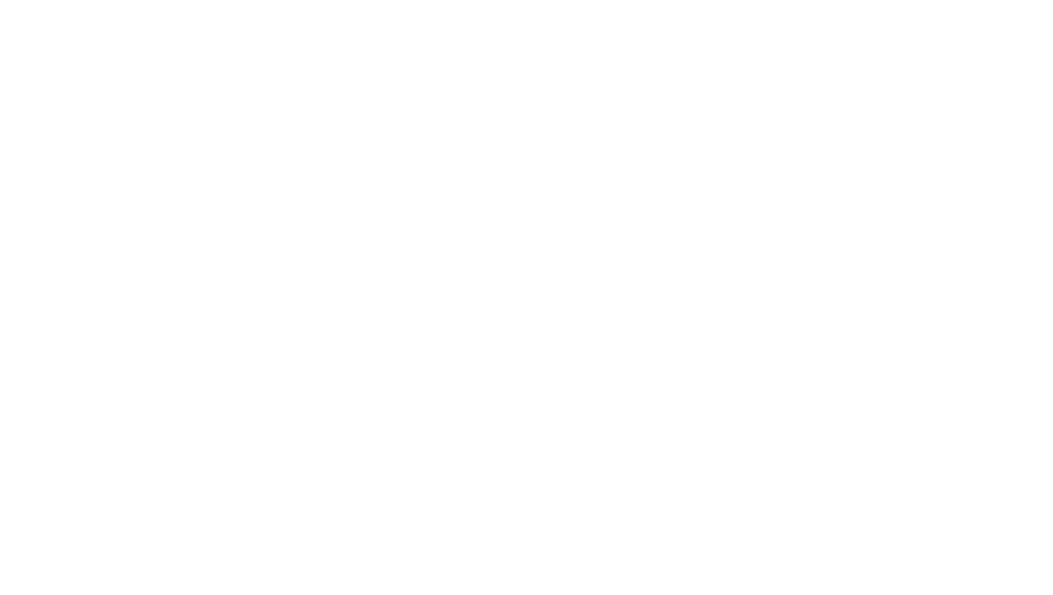 Maxime Rommes