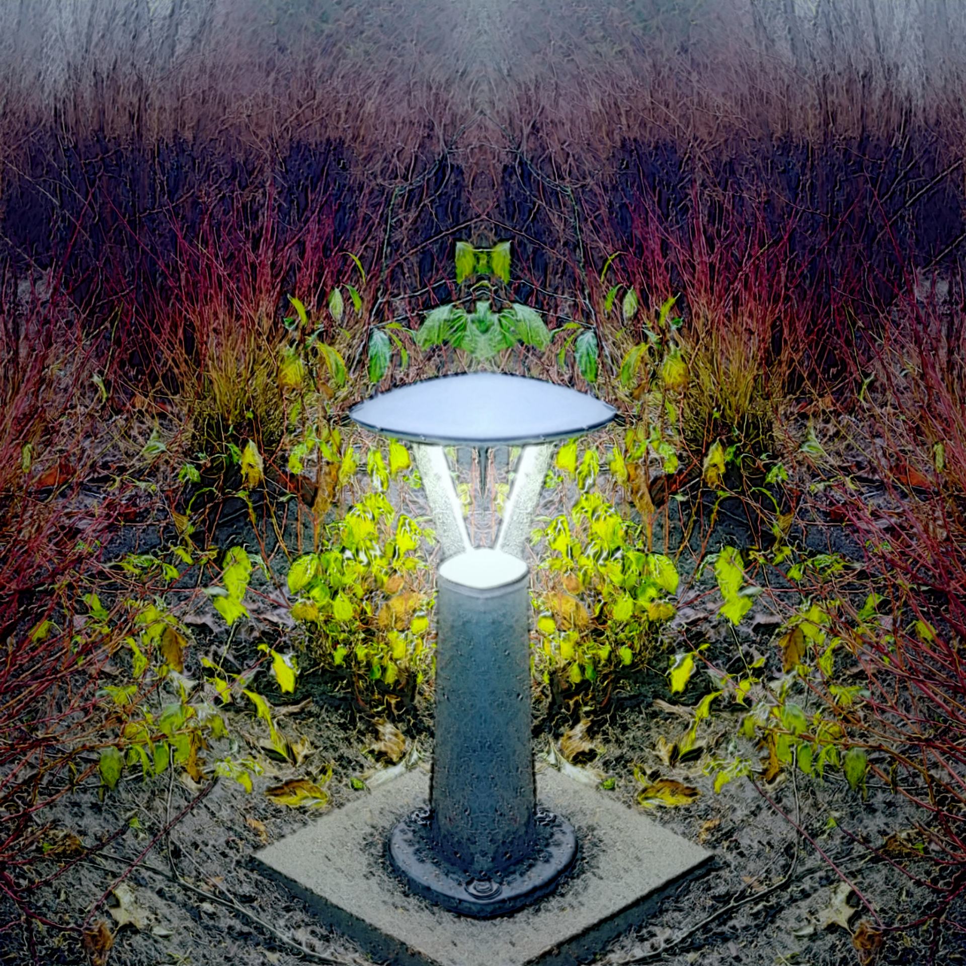 Light gives life - Photo Remix