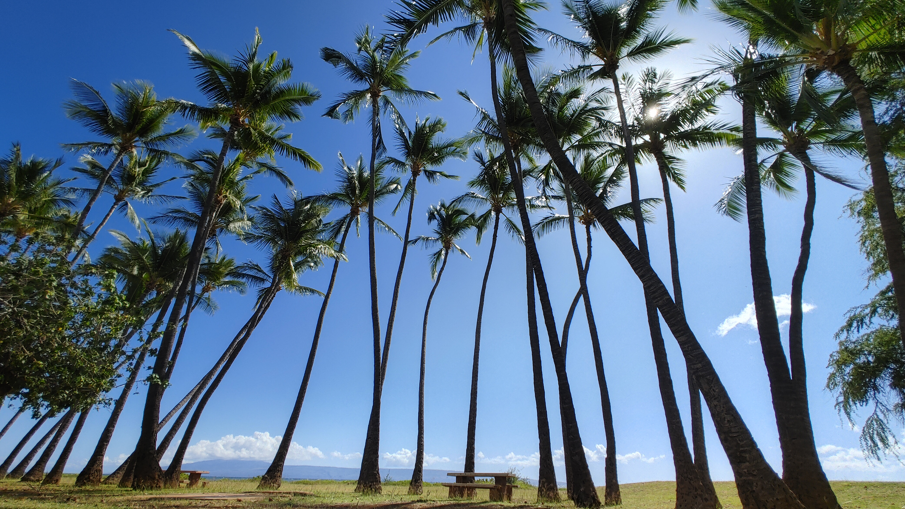 Molokai 2022