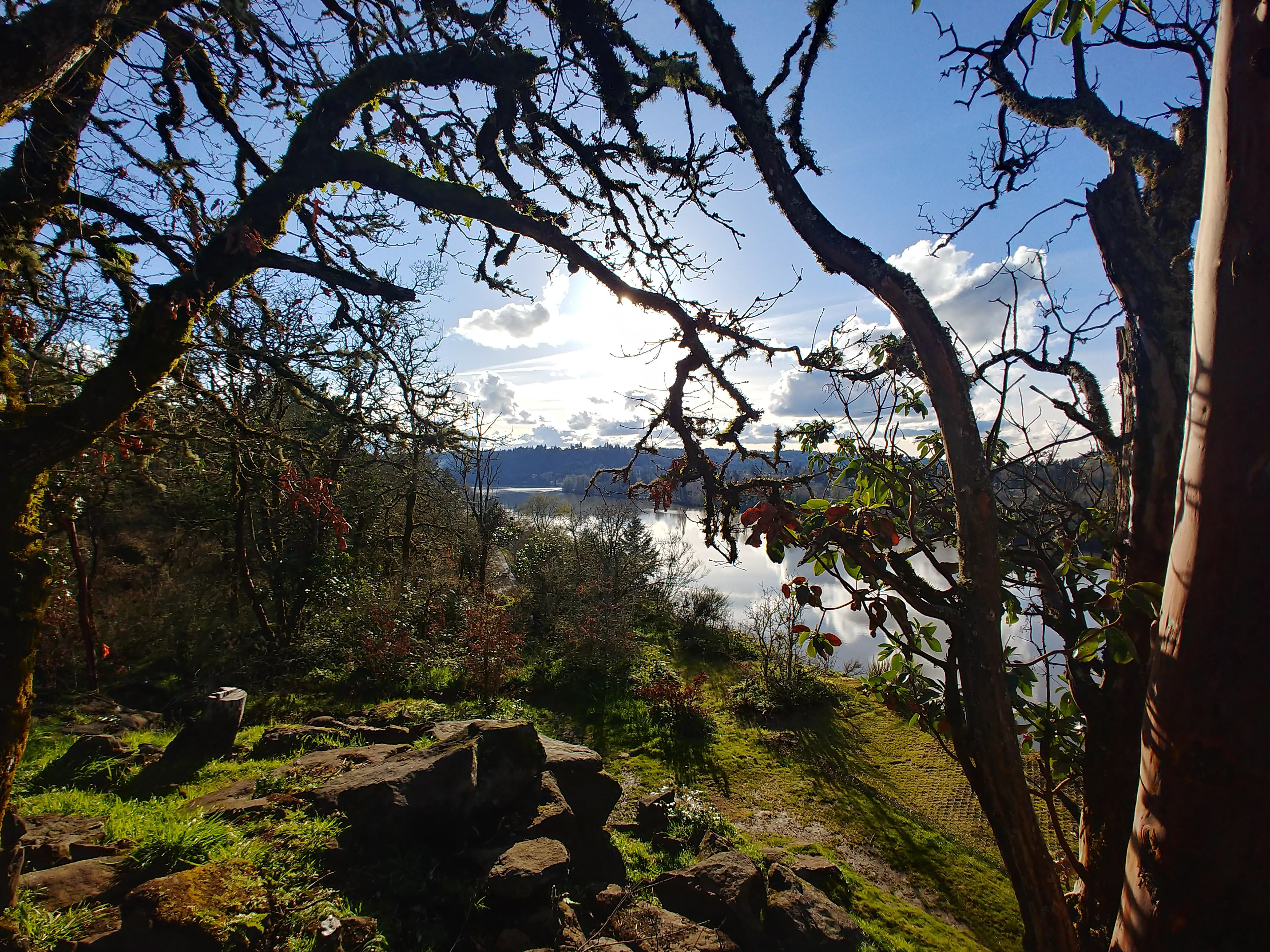 Willamette River 2018