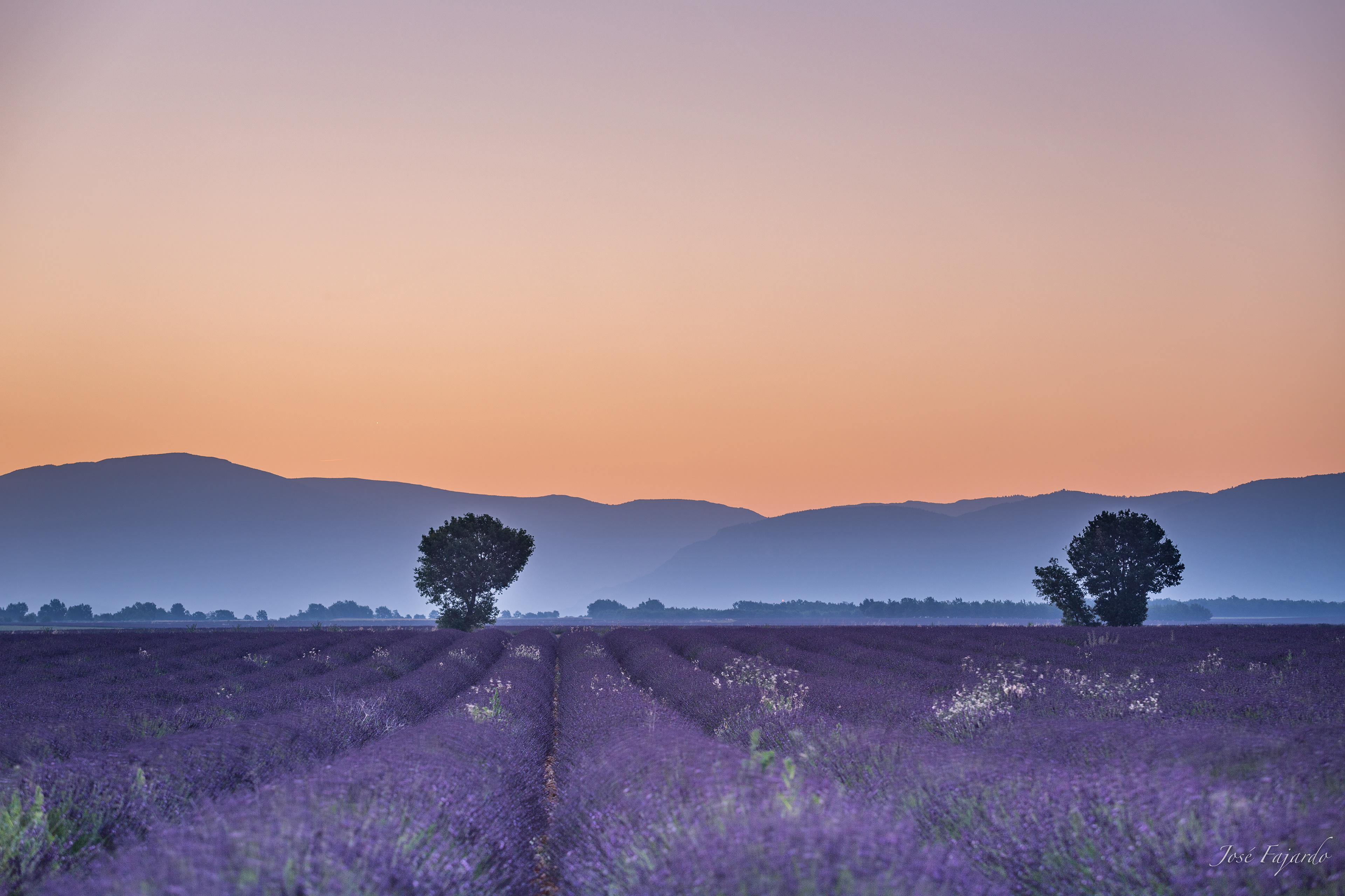 VALENSOLE 2