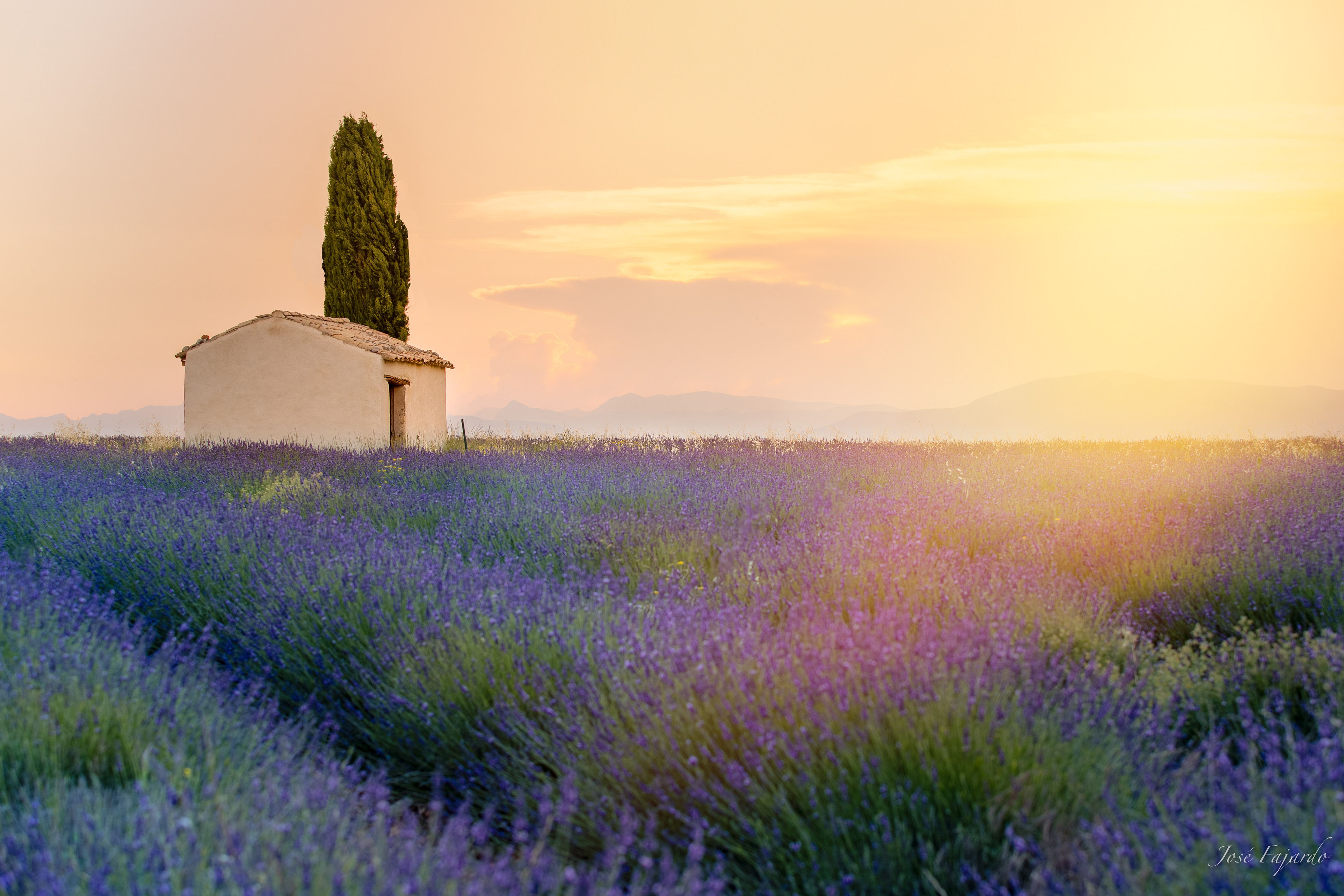 VALENSOLE 5