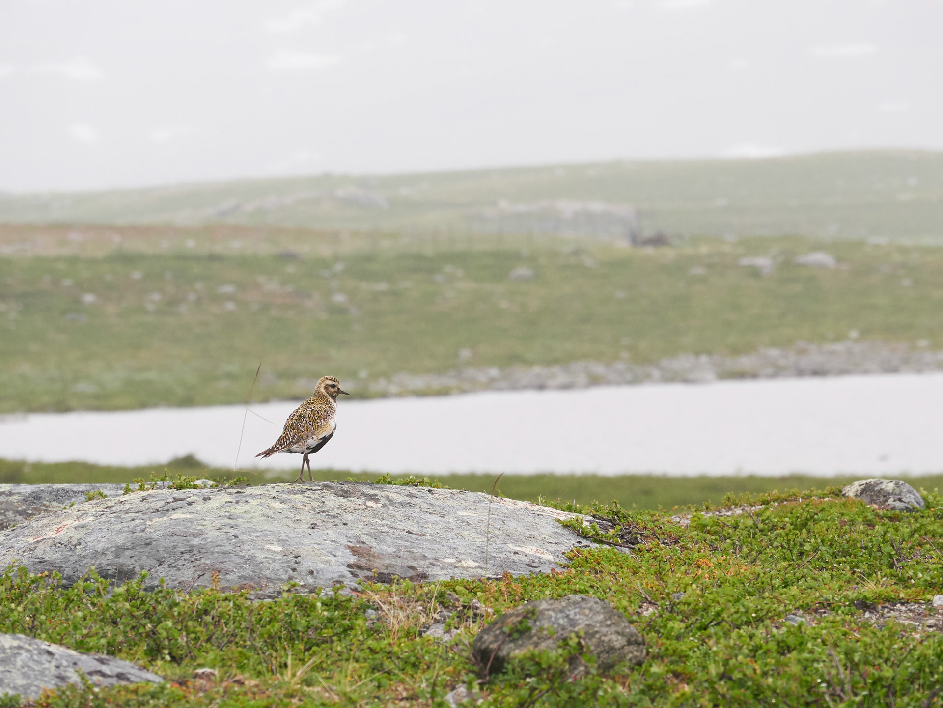 Roadtrip Europe du Nord 2017