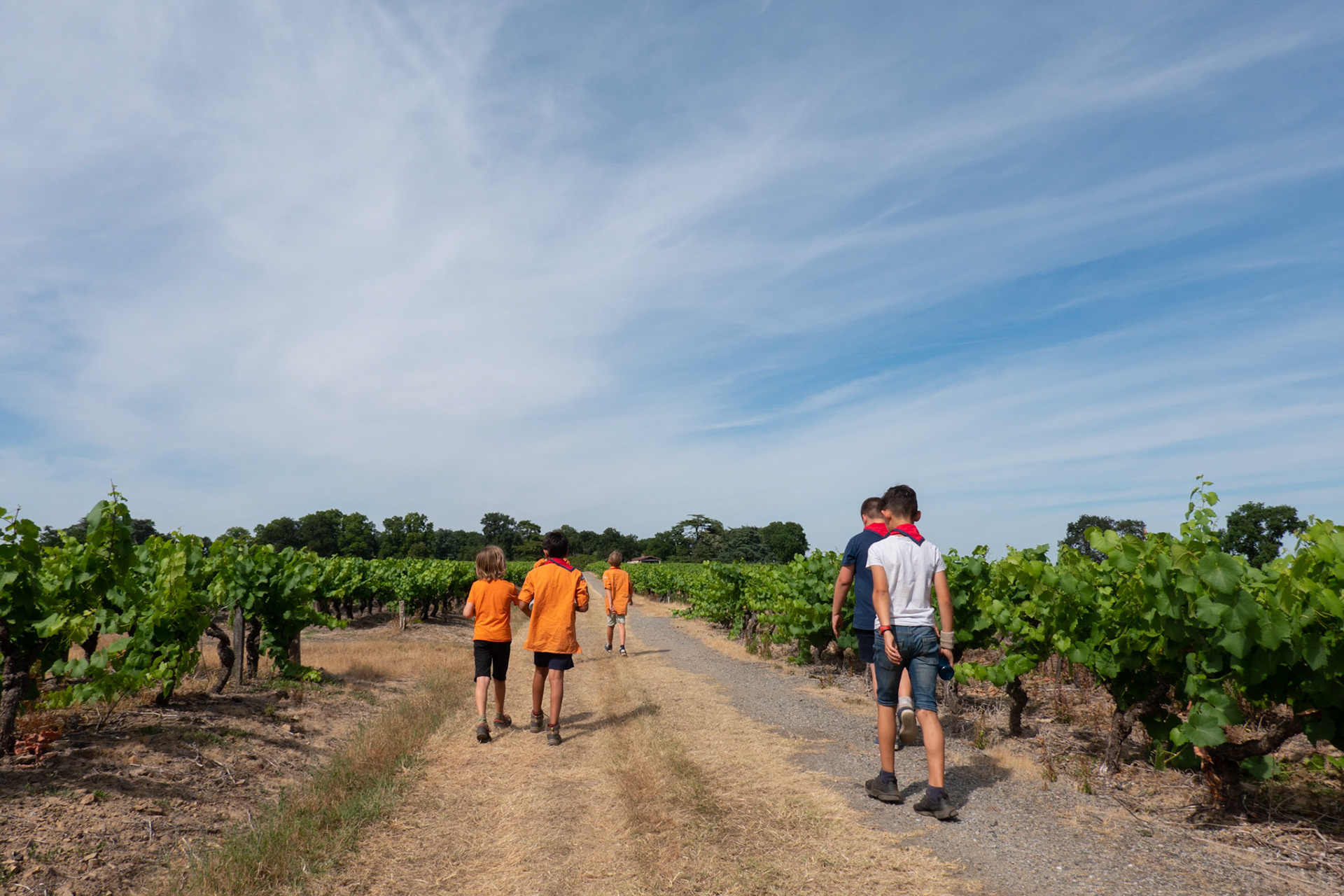 Visite du vignoble