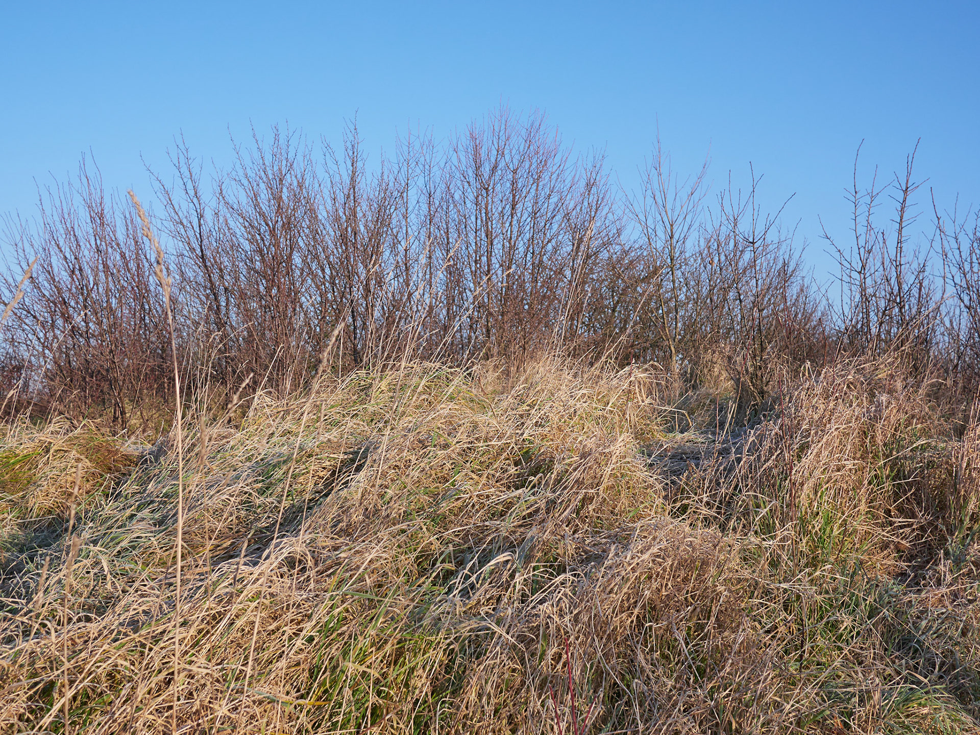 Sofia par la banlieue