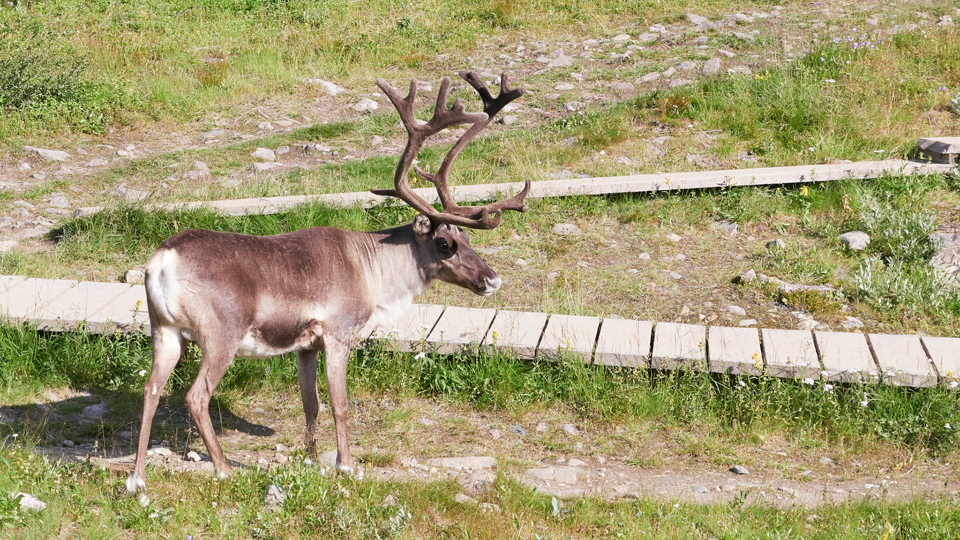 Roadtrip Europe du Nord 2017