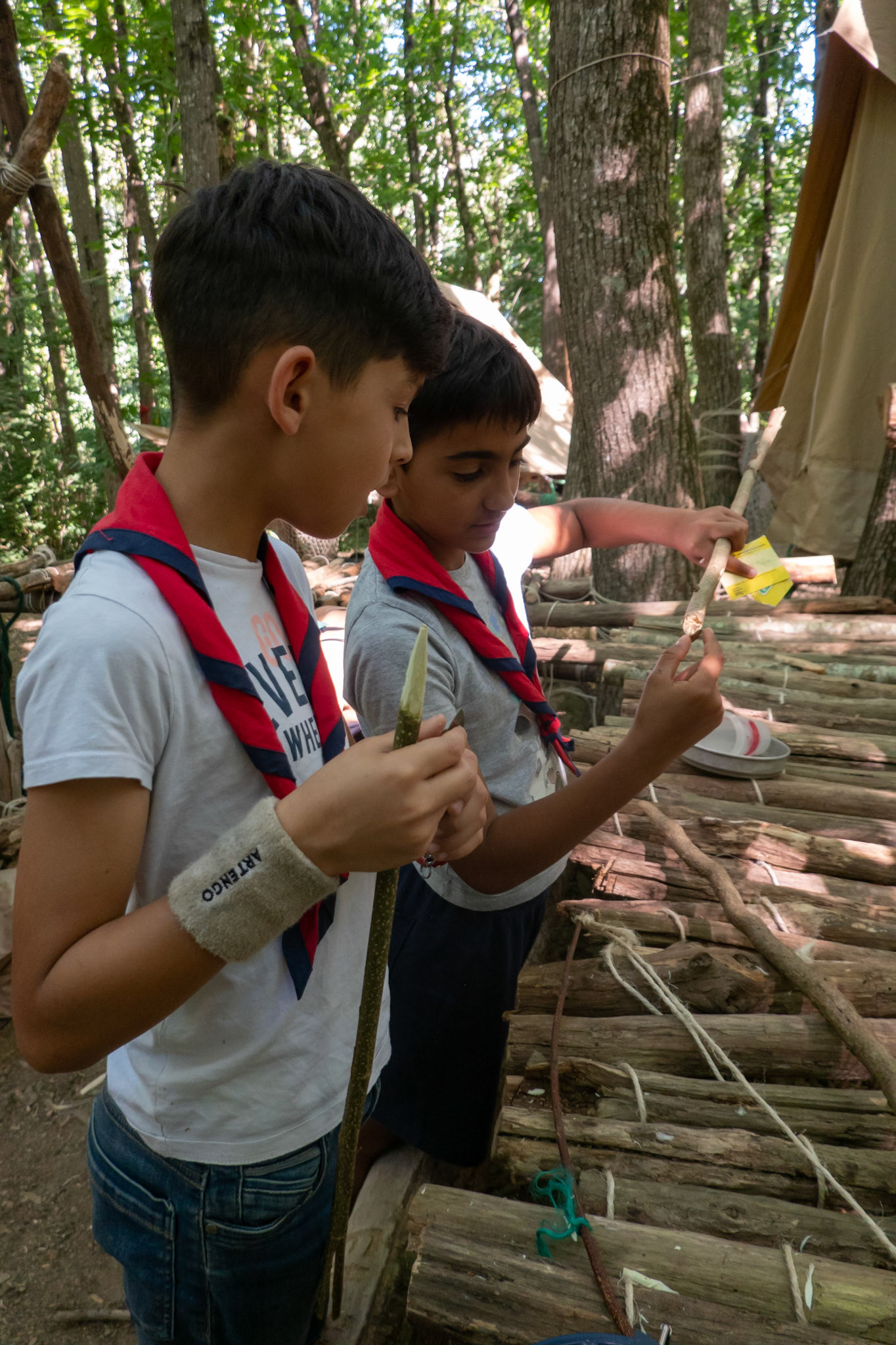Flèches polynésiennes