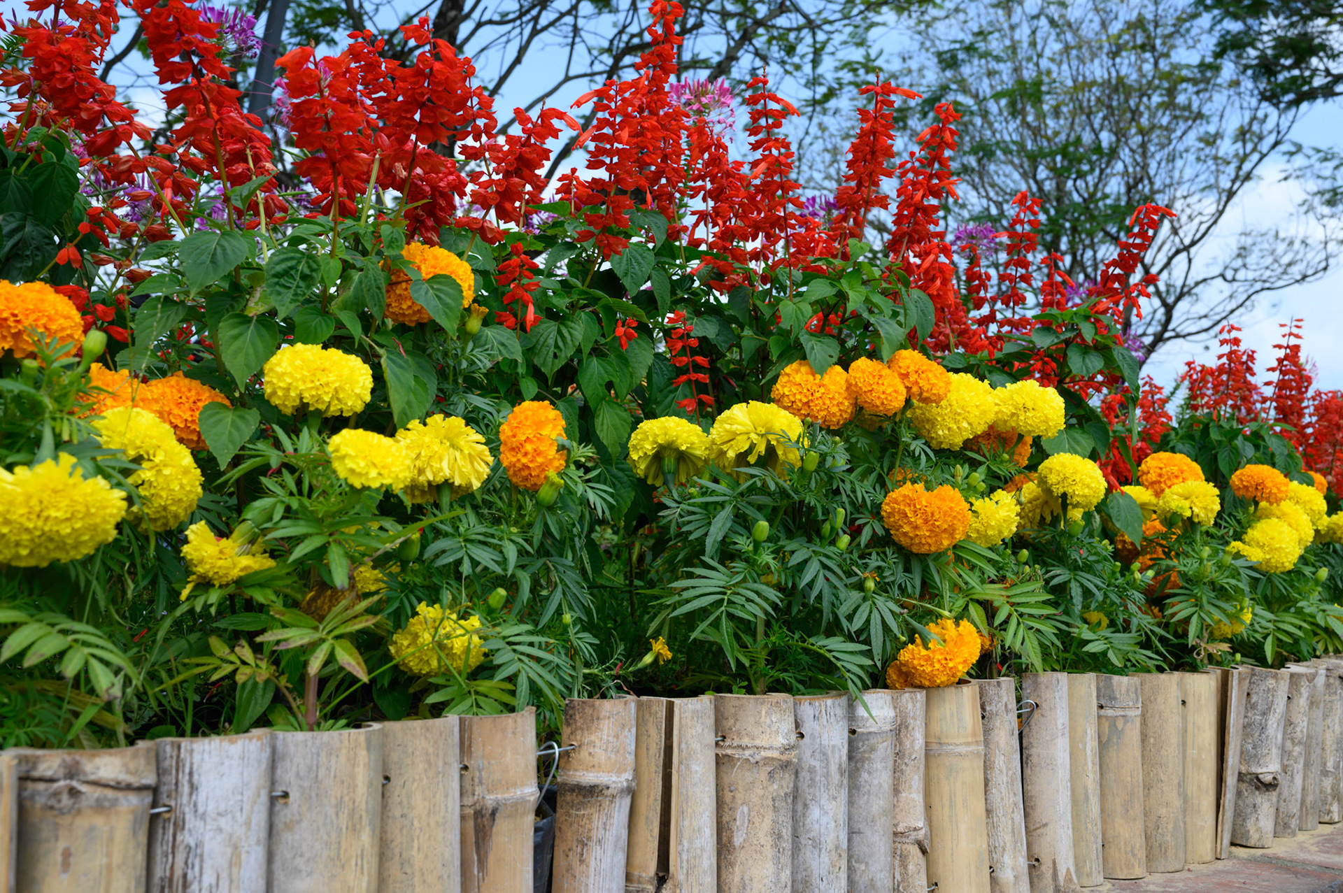 Hue city keeps beautiful parks and an extensive sculpture garden along the Perfume River.