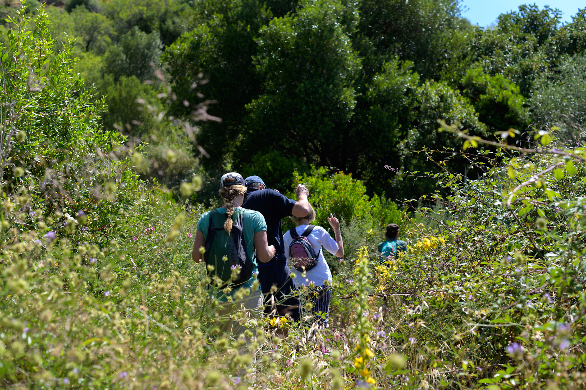 The trails do get a little overgrown