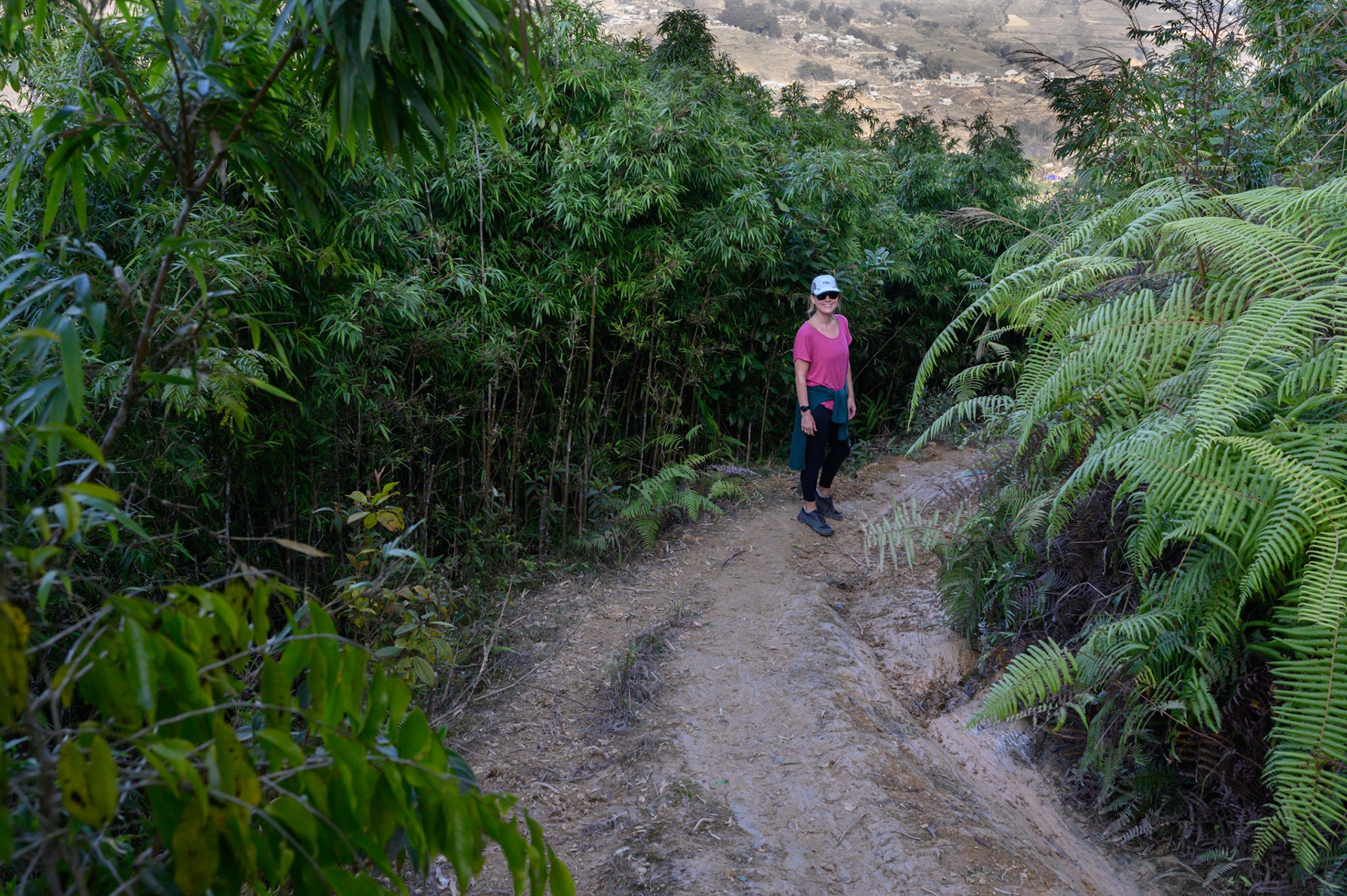 Hiking in the forest above Ta Van