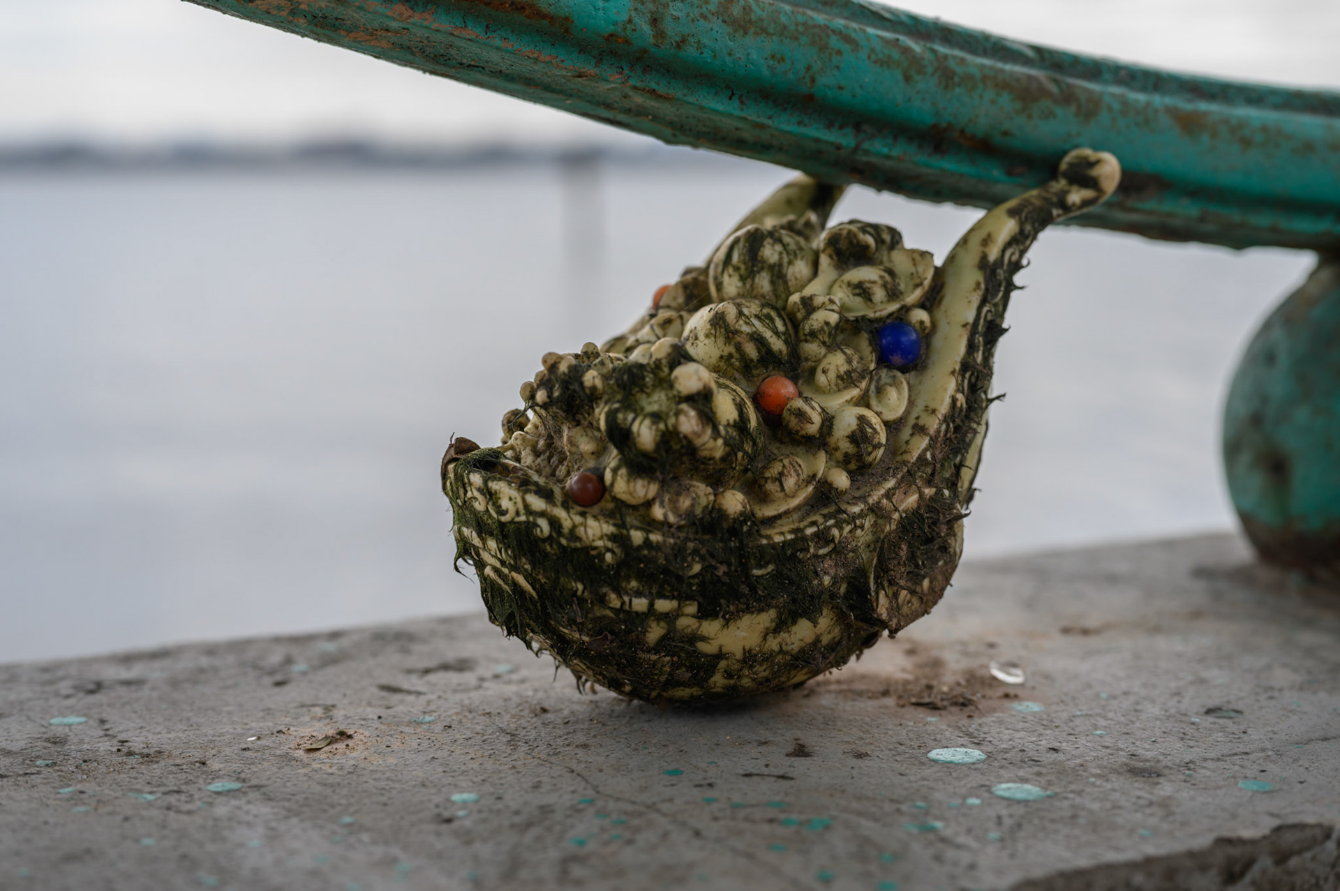 West Lake objects. The hosts of goldfish might be new acqaintances, being released into the lake just prior to Tet as a sacrifice to the kitchen god Ông Táo to carry him to the Jade Emporer where he gives a report on the family.