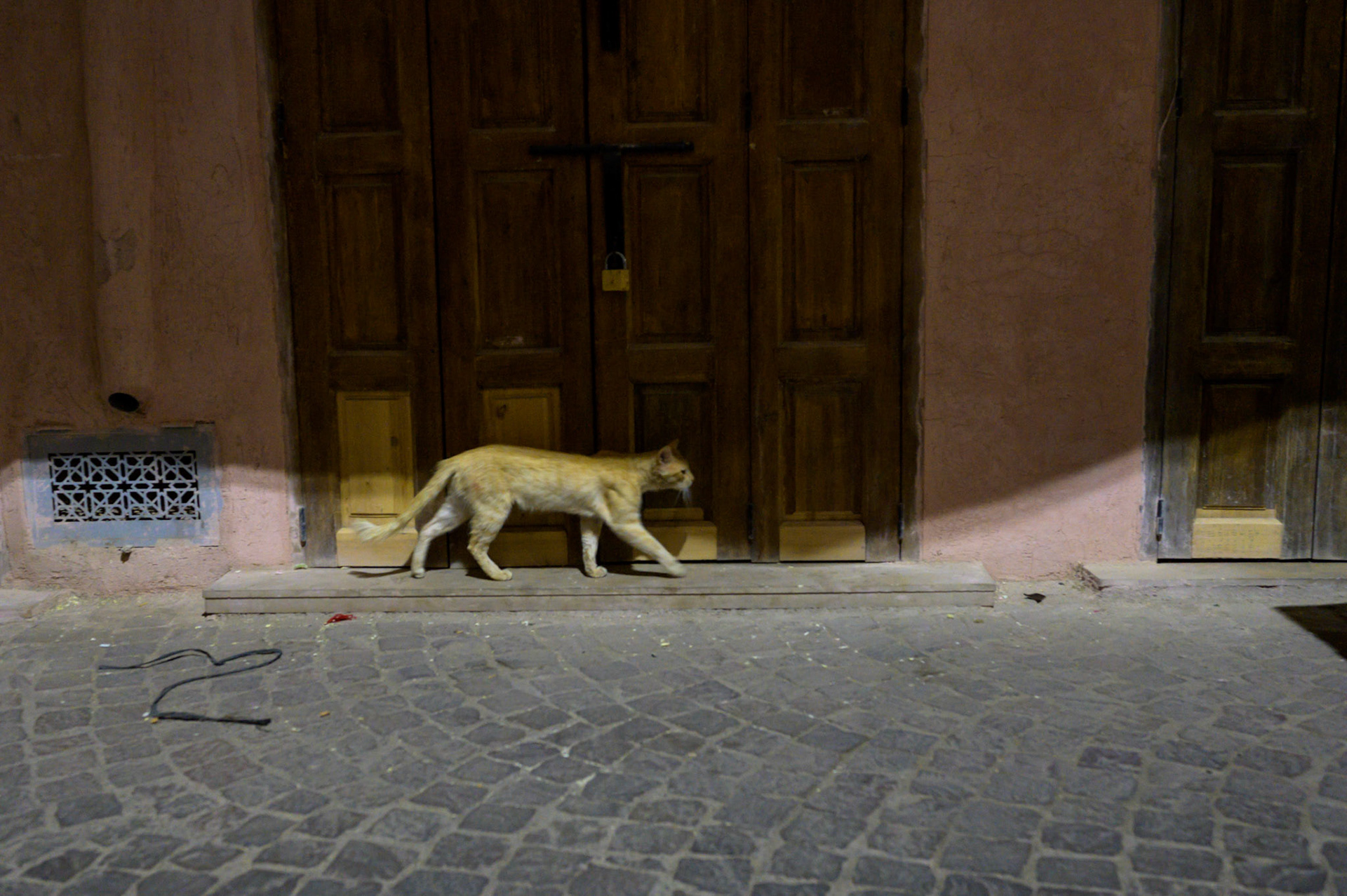 It's night time and things get more serious. No stopping for pats.