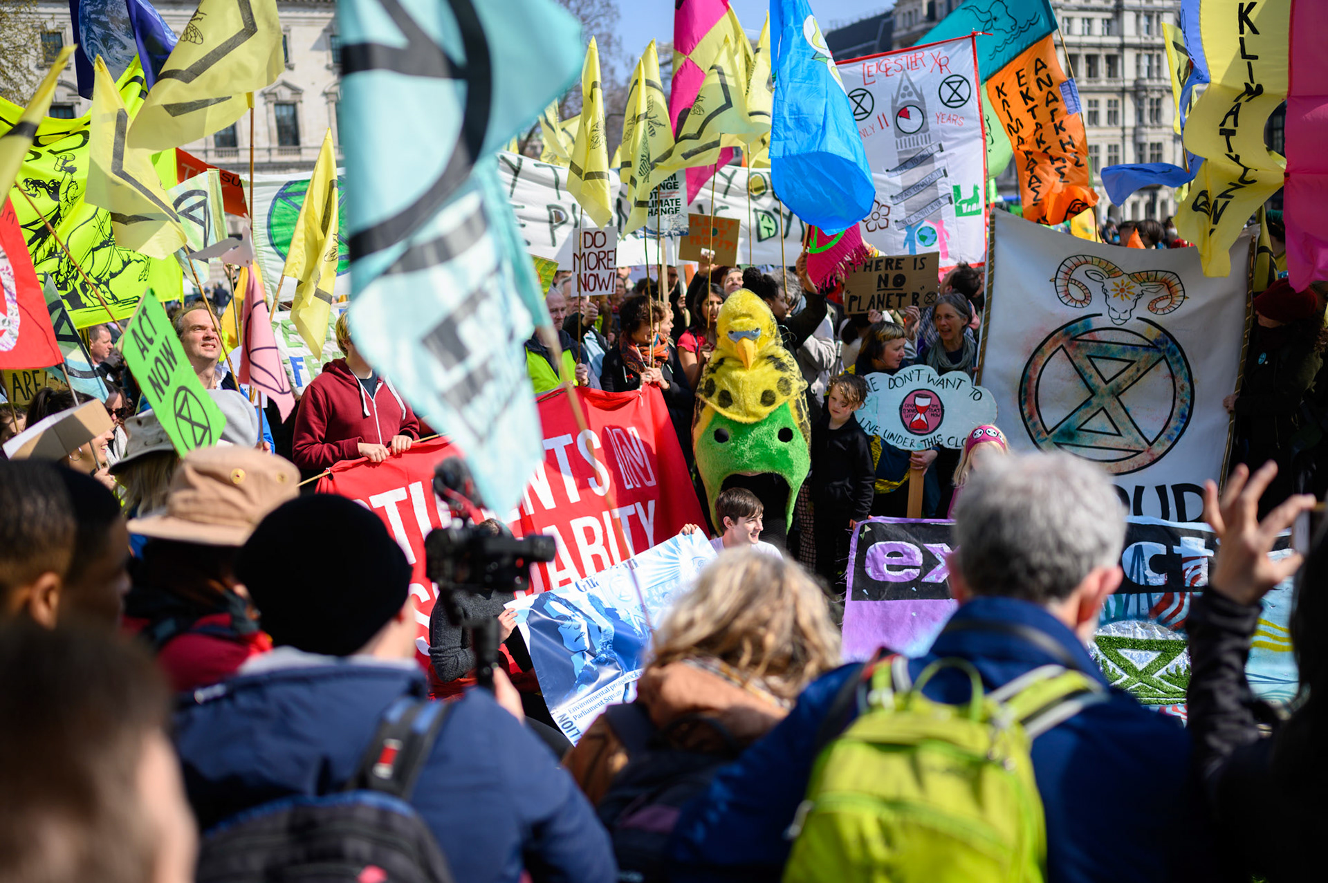 The colour of protest at Westminster.