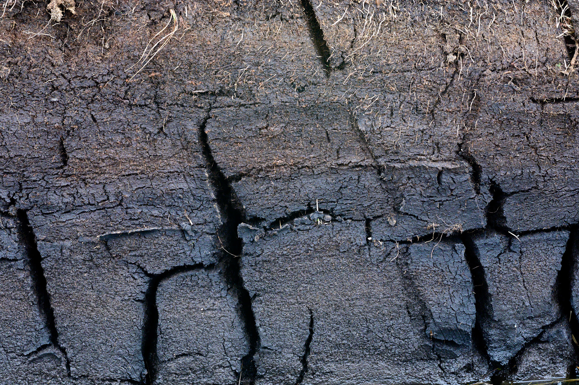 Walks around Point from Upper Bayble