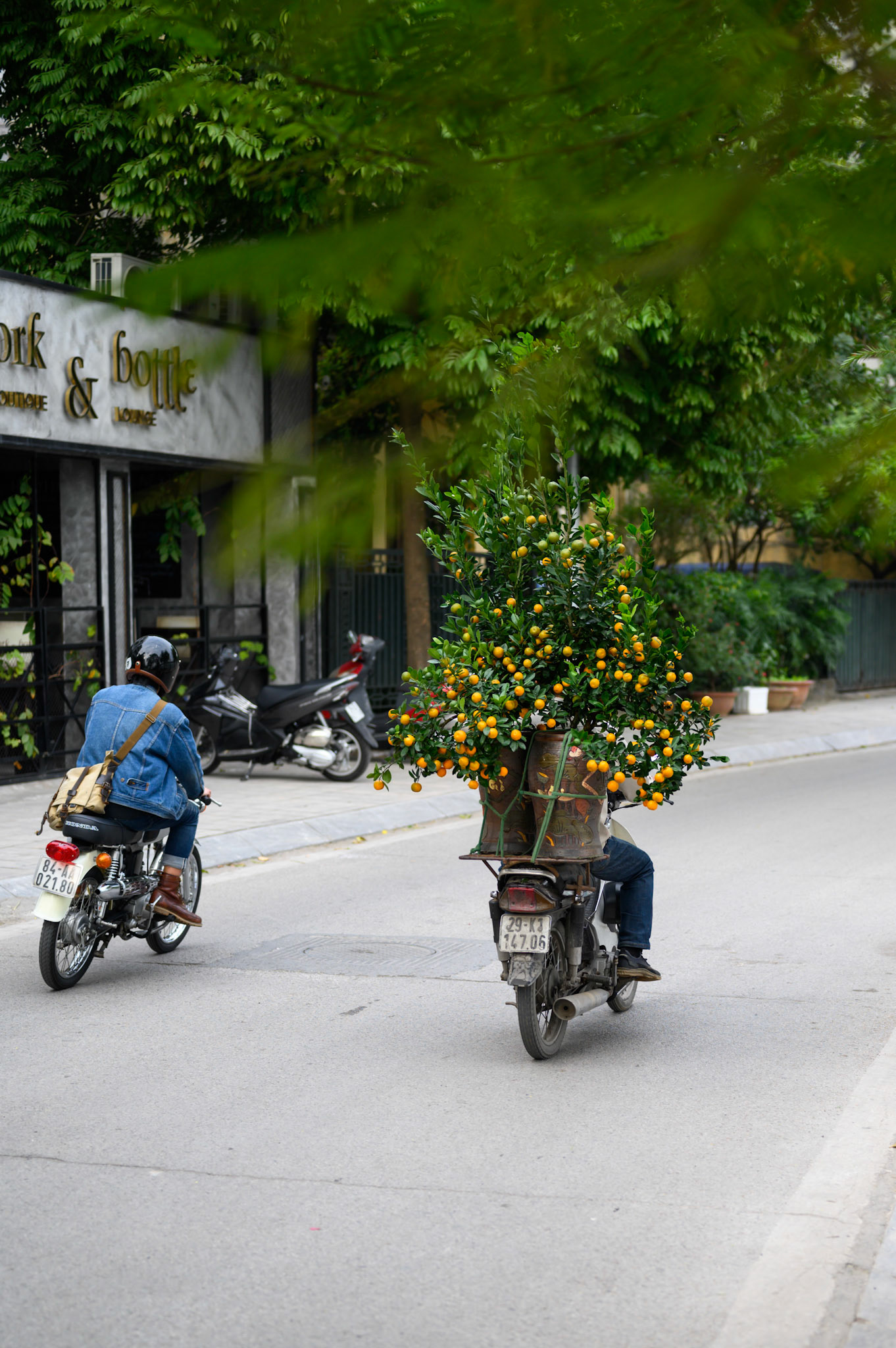 The day before Tet (Vietnamese new year) starts, the streets are a constant procession of trees - all sizes - tied to motocycles.