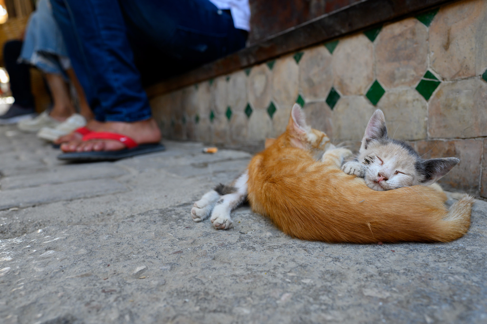 Sleeping in the mdeina. People will go around.