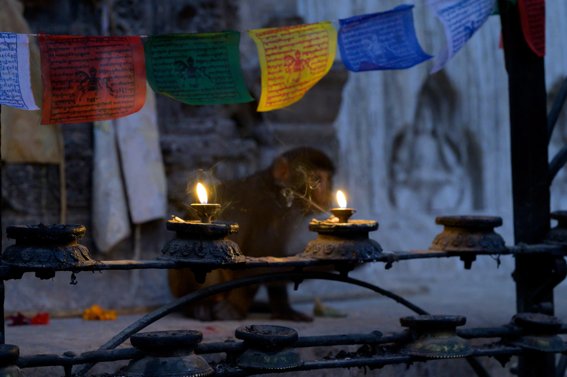 Early morning at Swoyambhunuth