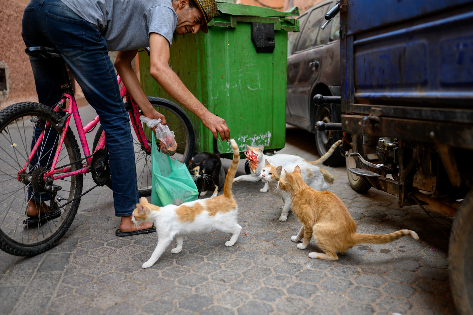 Uber Eats has arrived, a bag of chicken heads delivered.