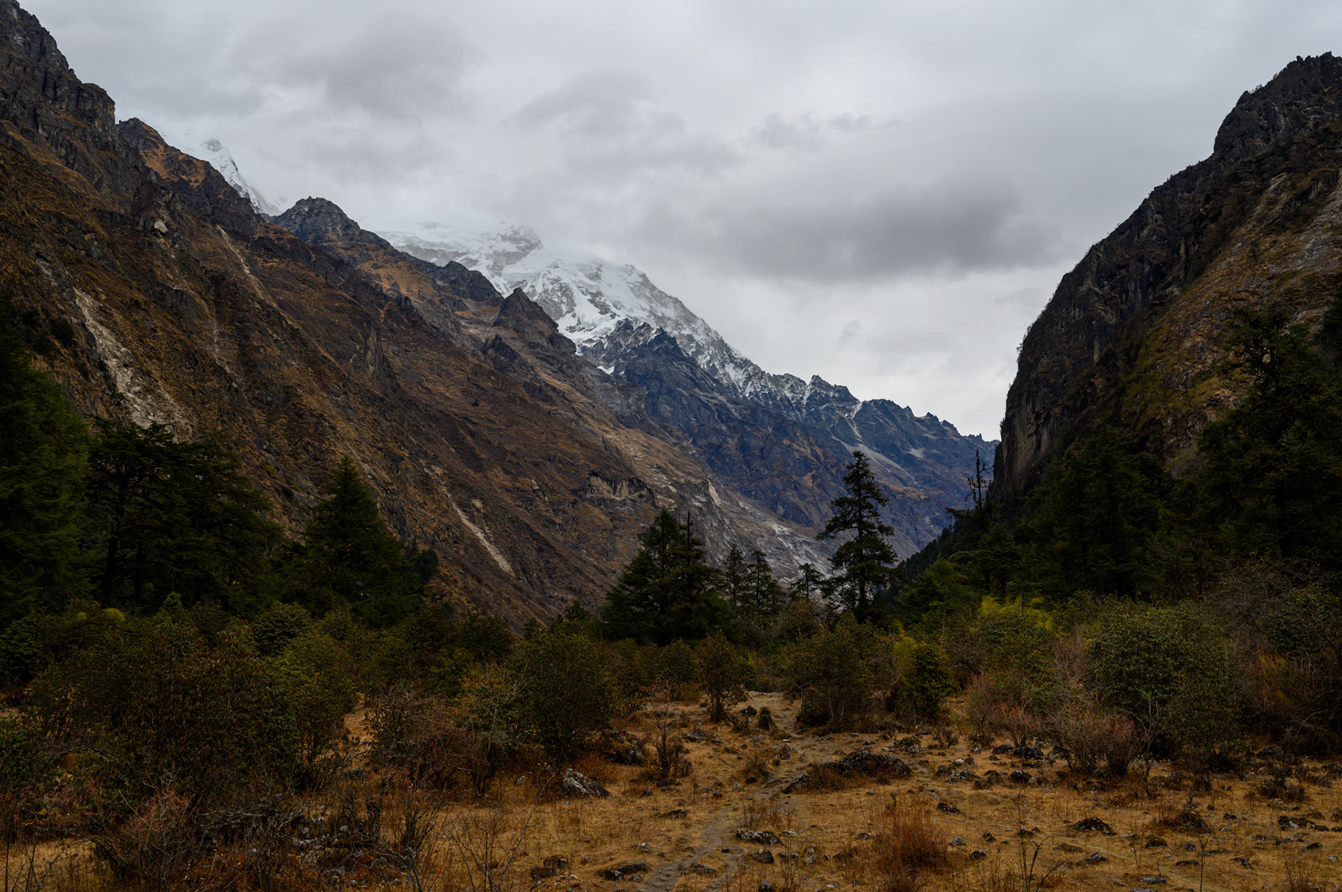 Looking to the last section of forest before be ascend above the tree line.
