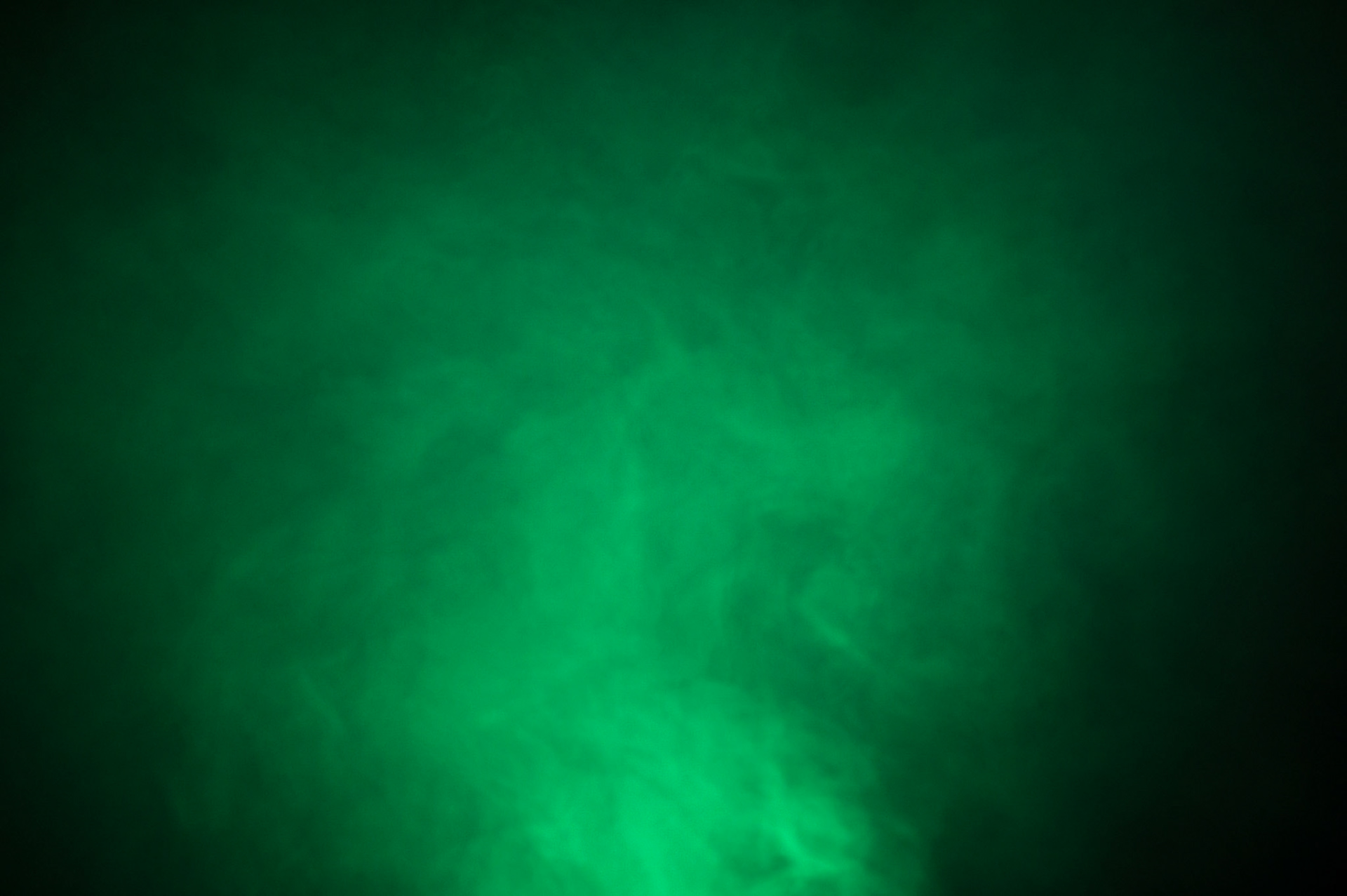 Edinburgh Botanical Gardens Lights