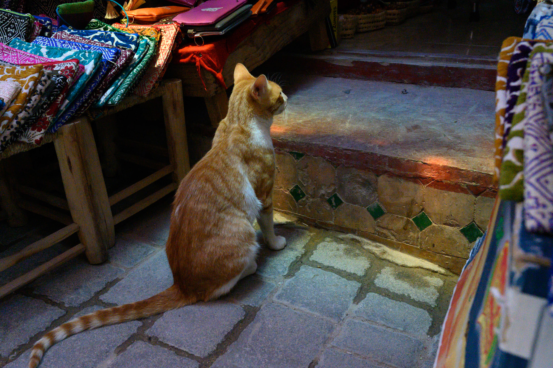 Shall I go in, or stay here?