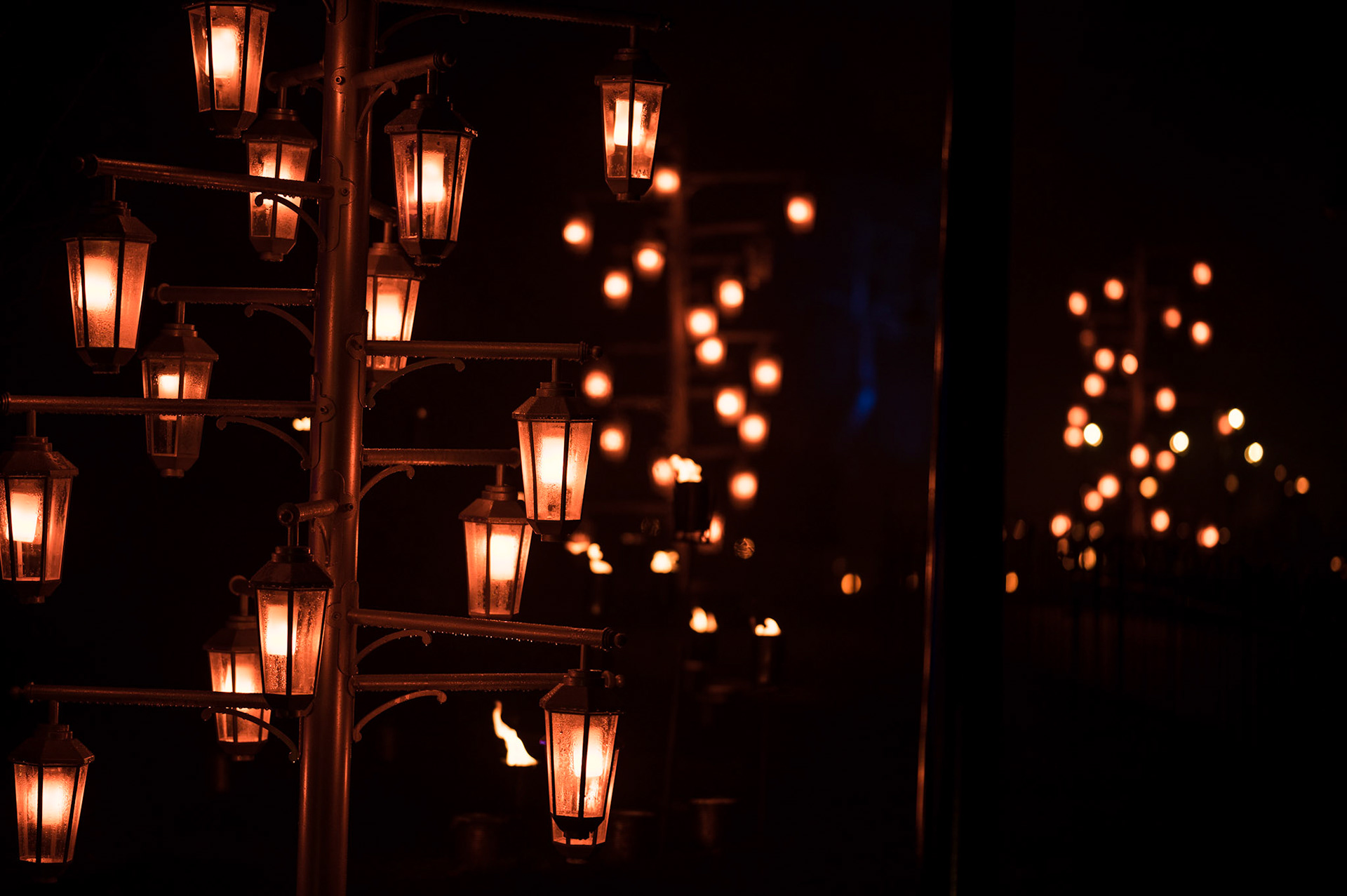 Edinburgh Botanical Gardens Lights