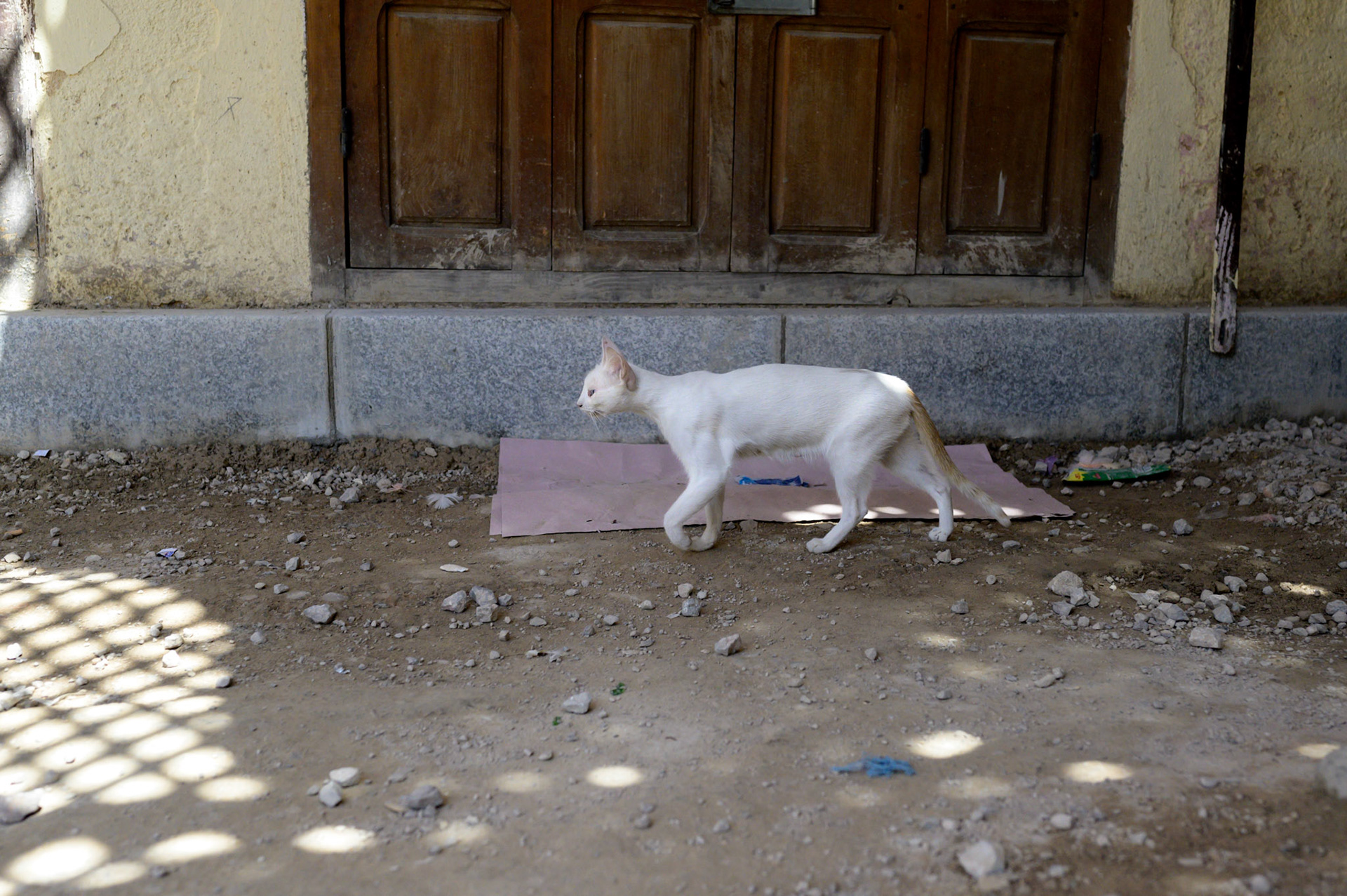 Staying white in the medina is hard work