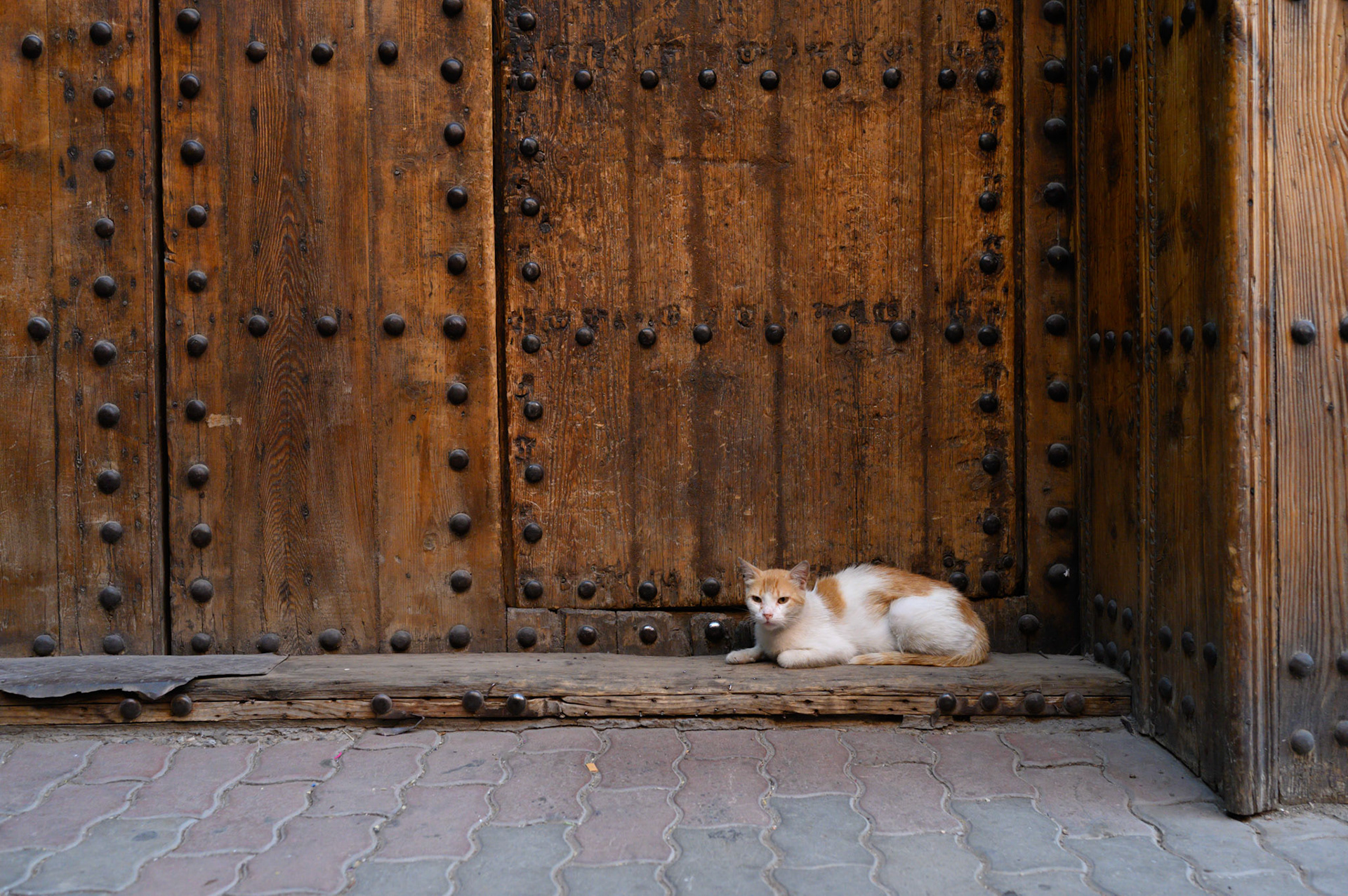 A doorway is reliably safe for sitting and watching.