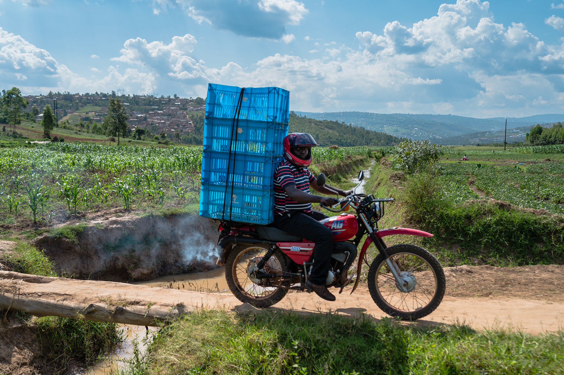 Group members carry empty crates from the truck down the steep hill to the plantation.Members of the Twitezimbere group are harvesting green African Birdseye chillies from their plantation, measuring over a hectare in area.The group has 26 members from the Kinyinya sector, Murama Cell, Gasabo.The harvesters are a mix of group members and paid casual workers
