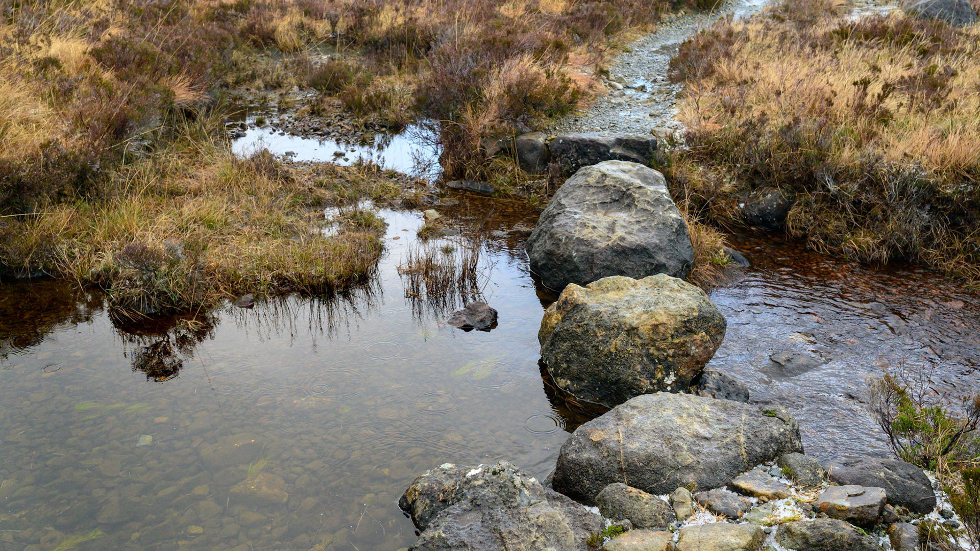 Stepping stones across a still cold stream of snow melt.