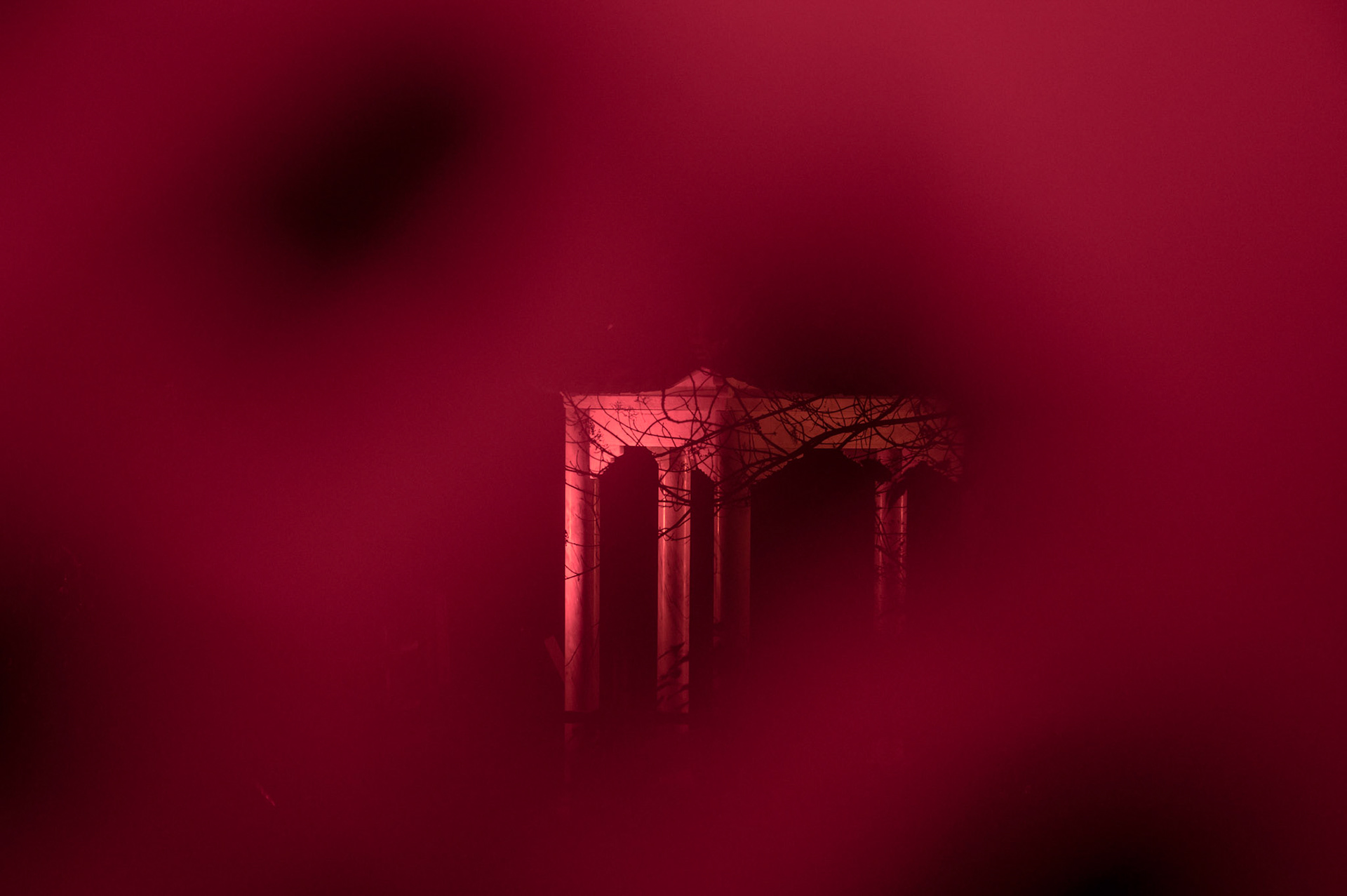 Edinburgh Botanical Gardens Lights