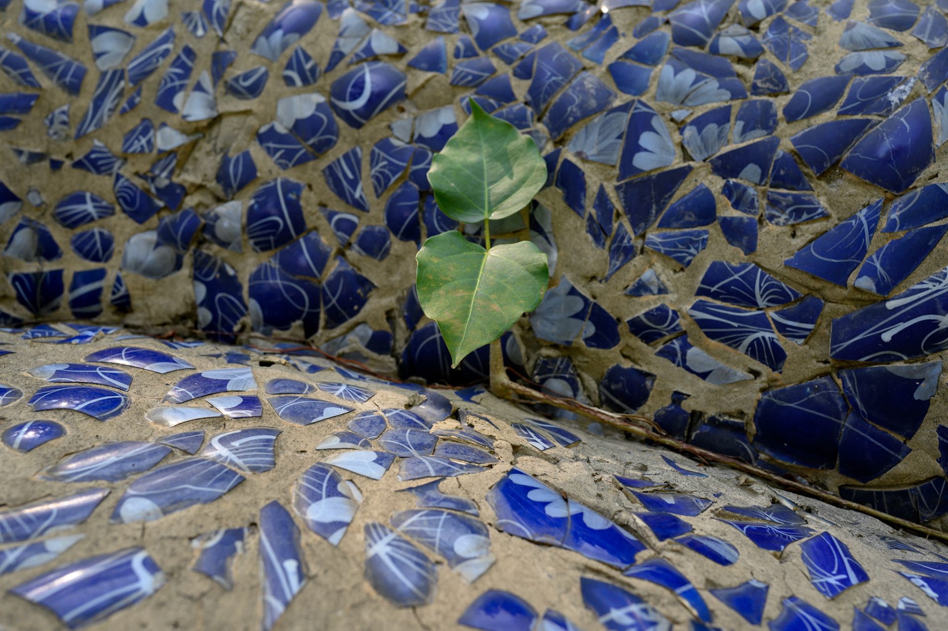 Hue city keeps beautiful parks and an extensive sculpture garden along the Perfume River.