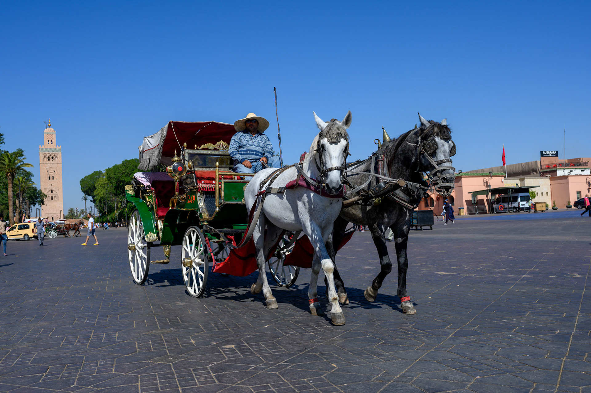 Tourist horse carriage