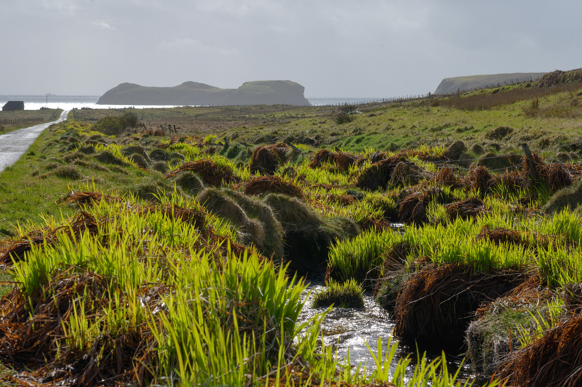 Walks around Point from Upper Bayble