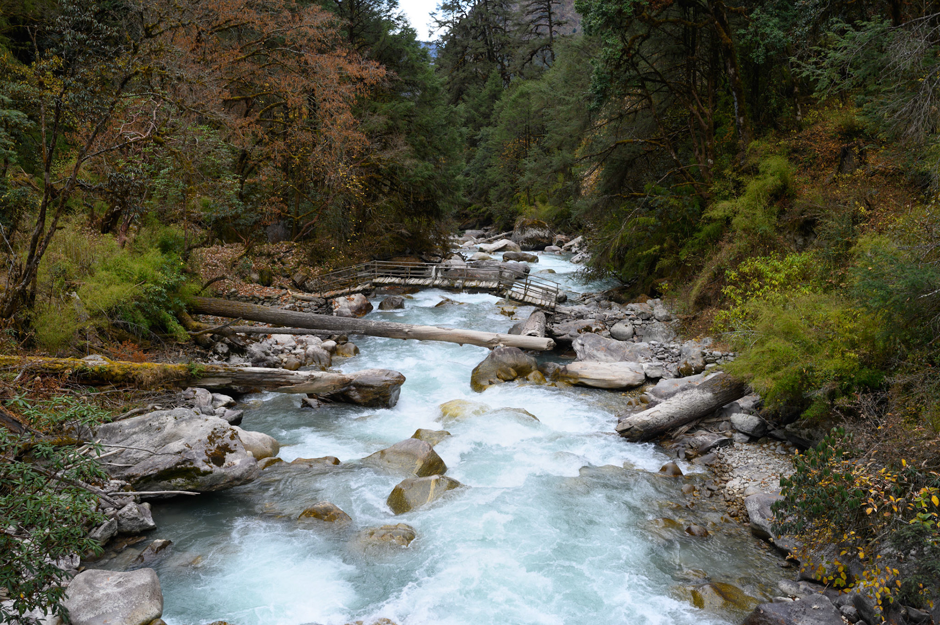 Lama Hotel to Langtang