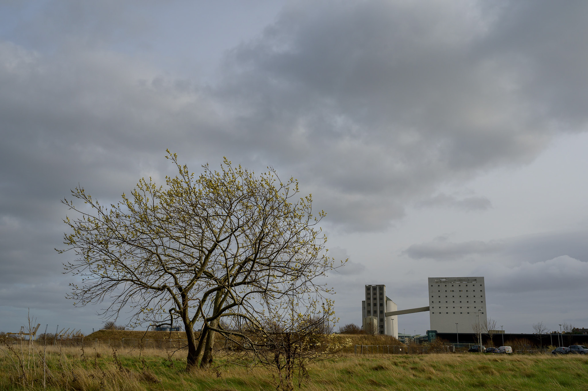 Spring comes. Slowly but it comes.