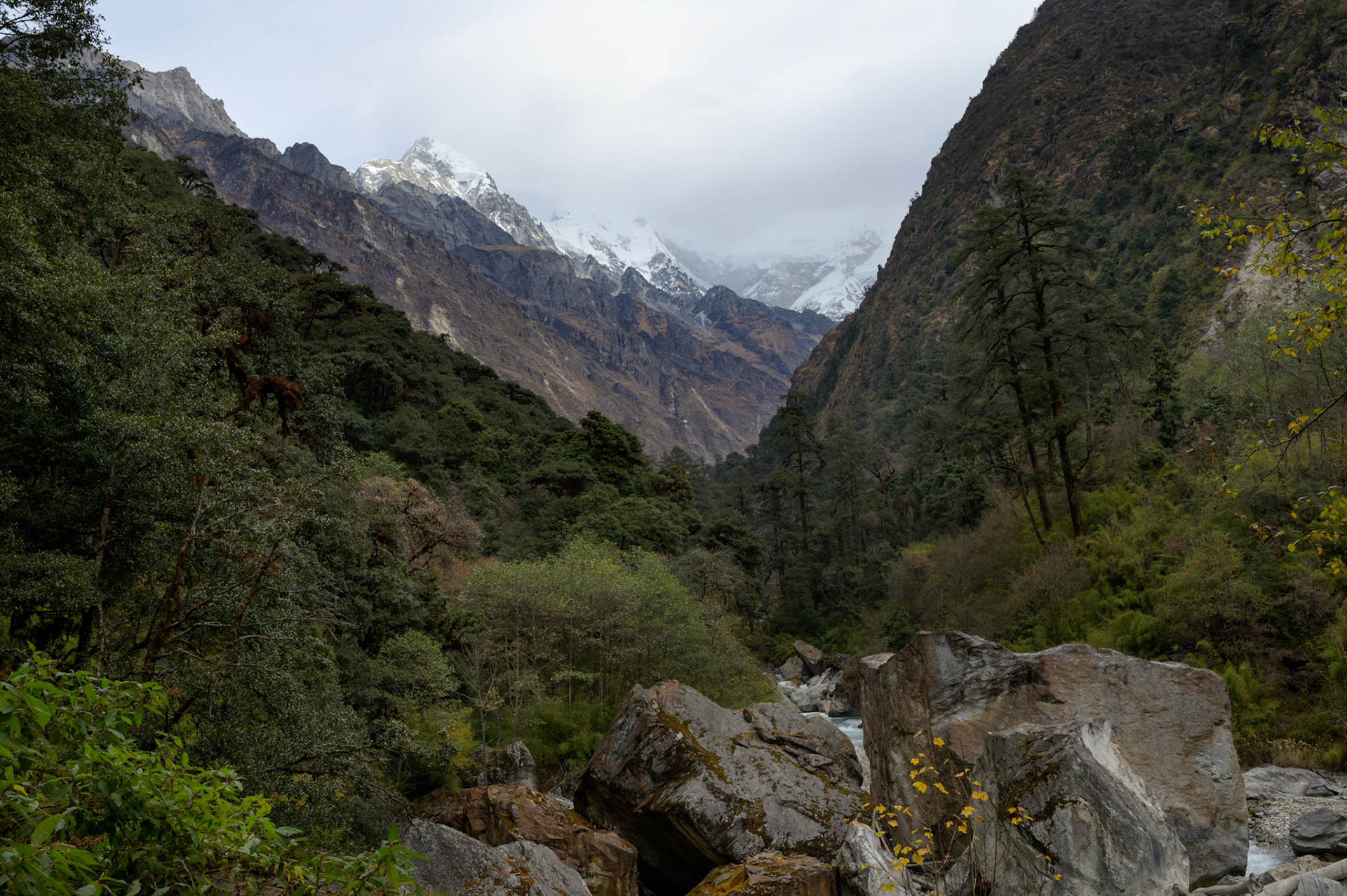 Mountains from Lama Hotel