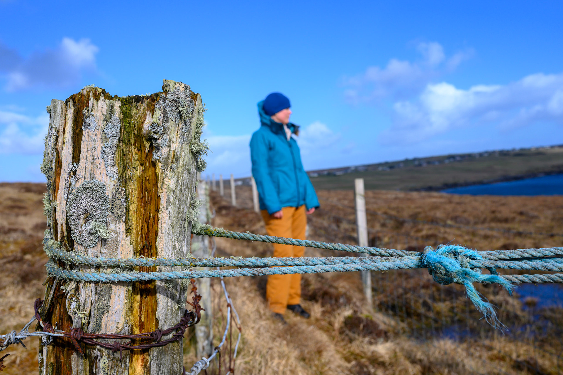 Old and new fences. 
Sheryl checking a map.
The new fence has been built outside the old making a convenient path that goes nowhre in particular.