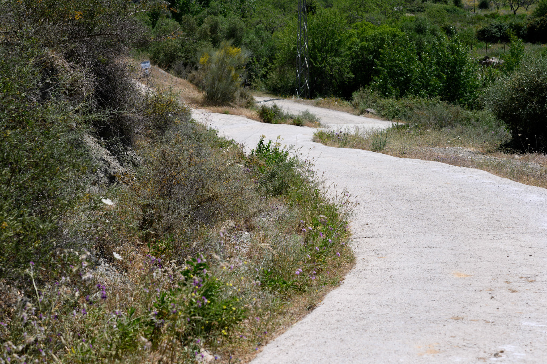 The Gibraltar road, from Gaucín.