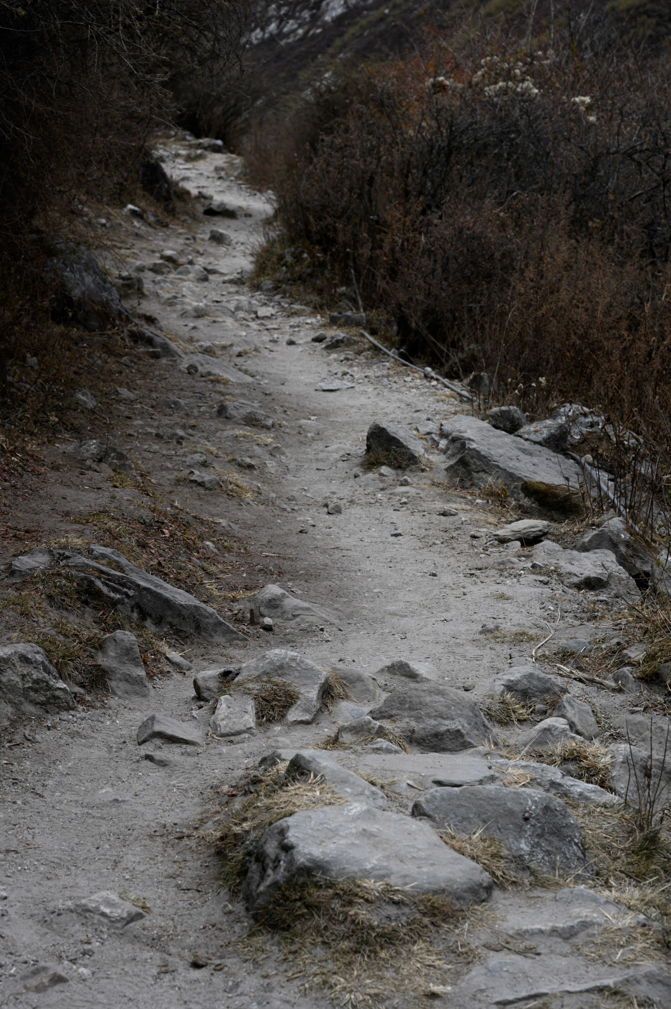 The winding dusty path.