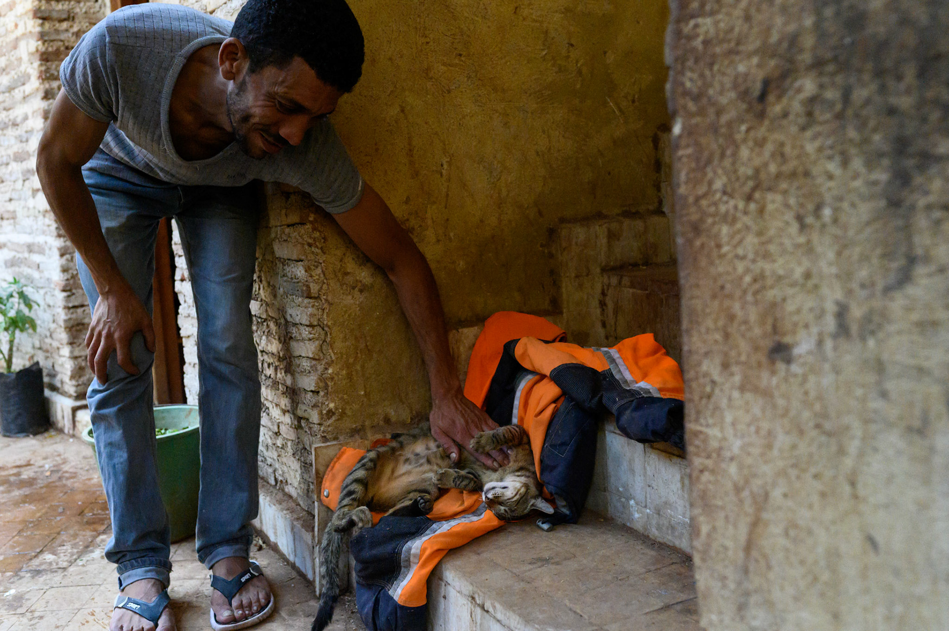 This is Diablo, the tannery cat, finding that a carelessly put down jacket makes the perfect bed for a midday nap.
The tannery staff feed him and scratch his belly on demand. For reasons not explained, the tannery only adopts male cats.