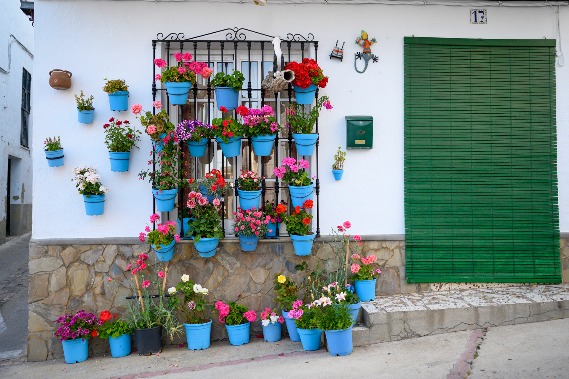 Geraniums decorate a window.