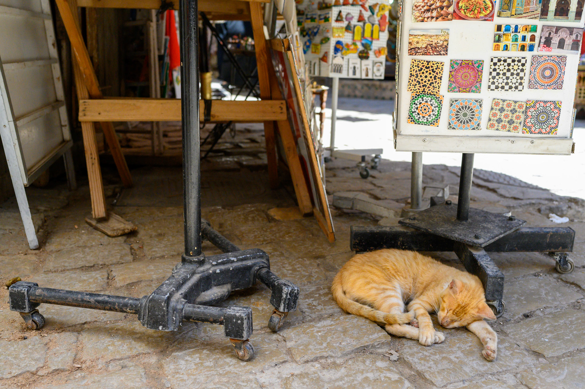 A safe spot to sleep the heat of the day away.