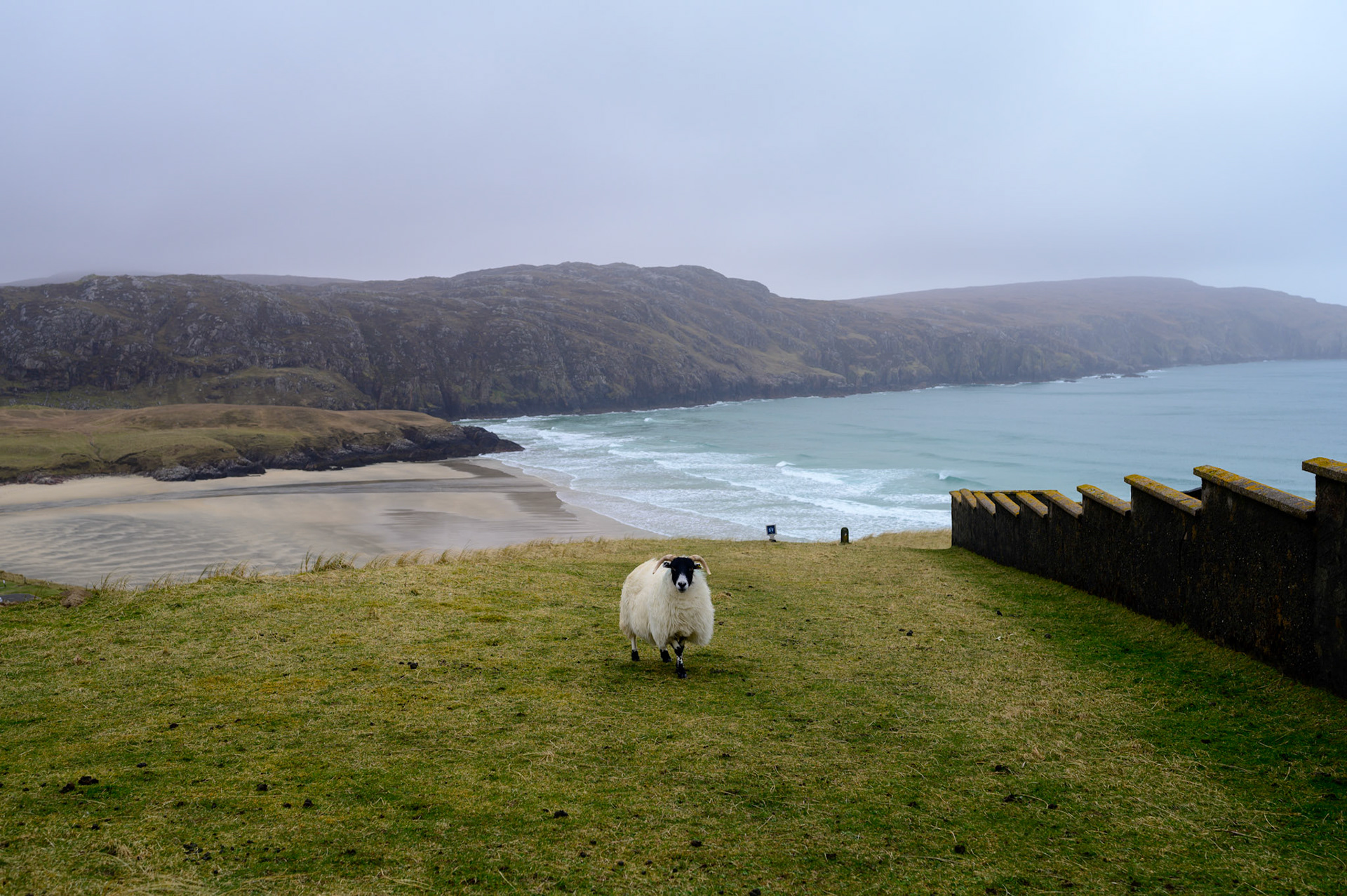 A long sheep shelters behind the cemetery wall at Vlatos Farm.
The bay at Vlatos farm.
The Shawbost Morrisons were evicted from Vlatos farm, near Uig (Lewis)
, in the 1880s