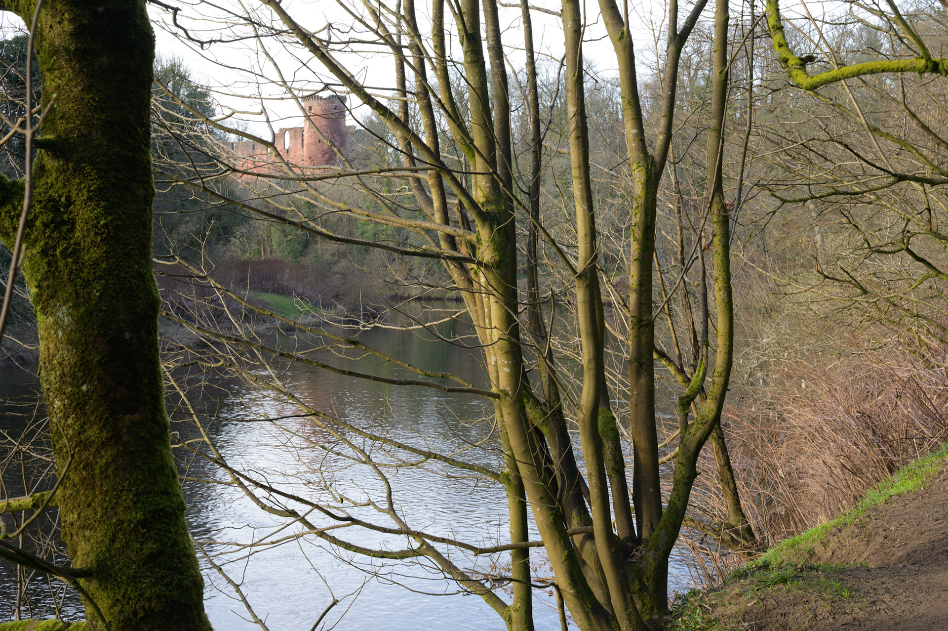 The river Clyde snakes through Uddington near Bothwell castle, a possible scene in the Mary Queen of Scots drama.
Almost spring, the trees are yet bud.
