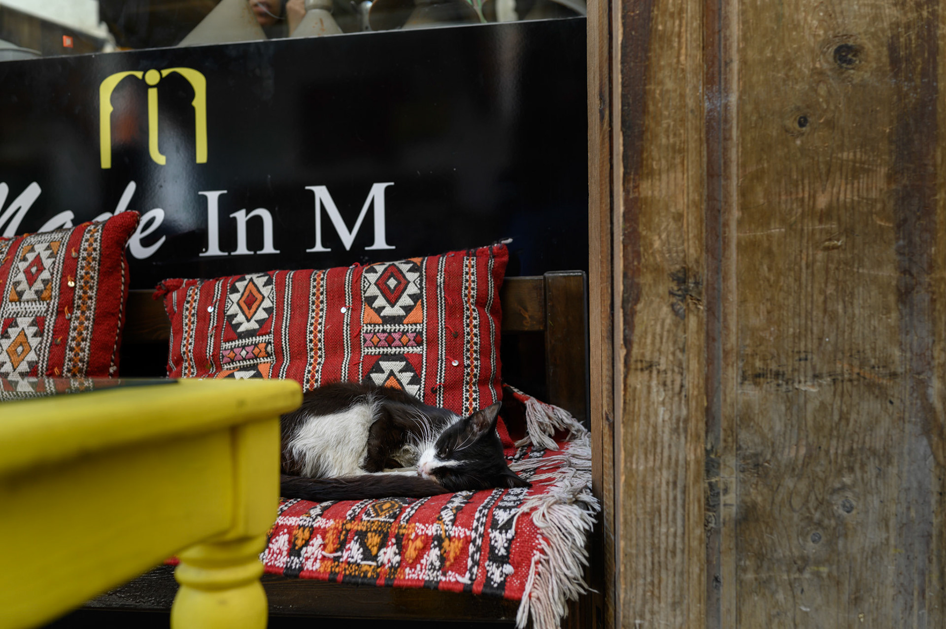 Kitten sleeping outside a restaurant in teh Medina.