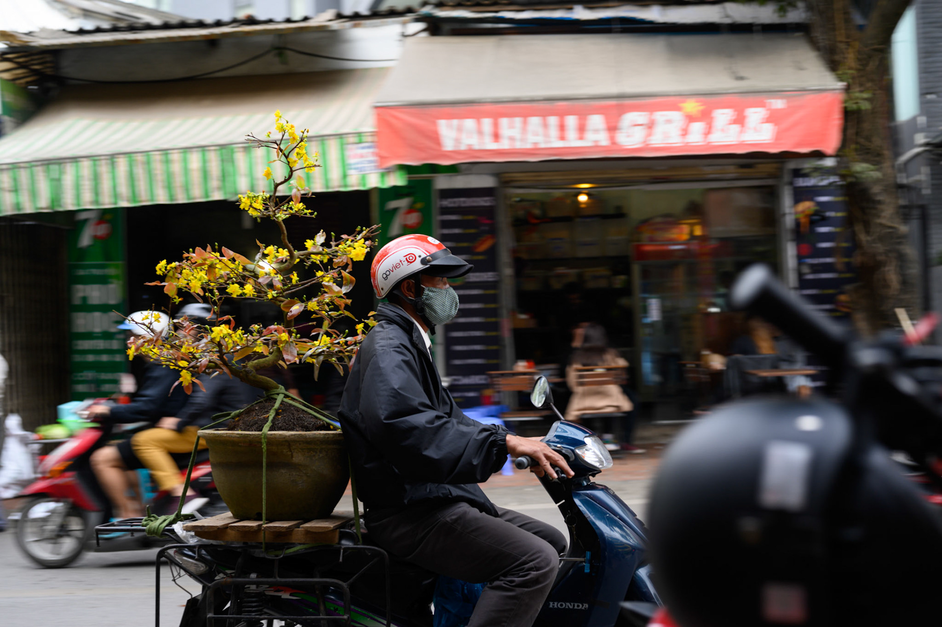The day before Tet (Vietnamese new year) starts, the streets are a constant procession of trees - all sizes - tied to motocycles.