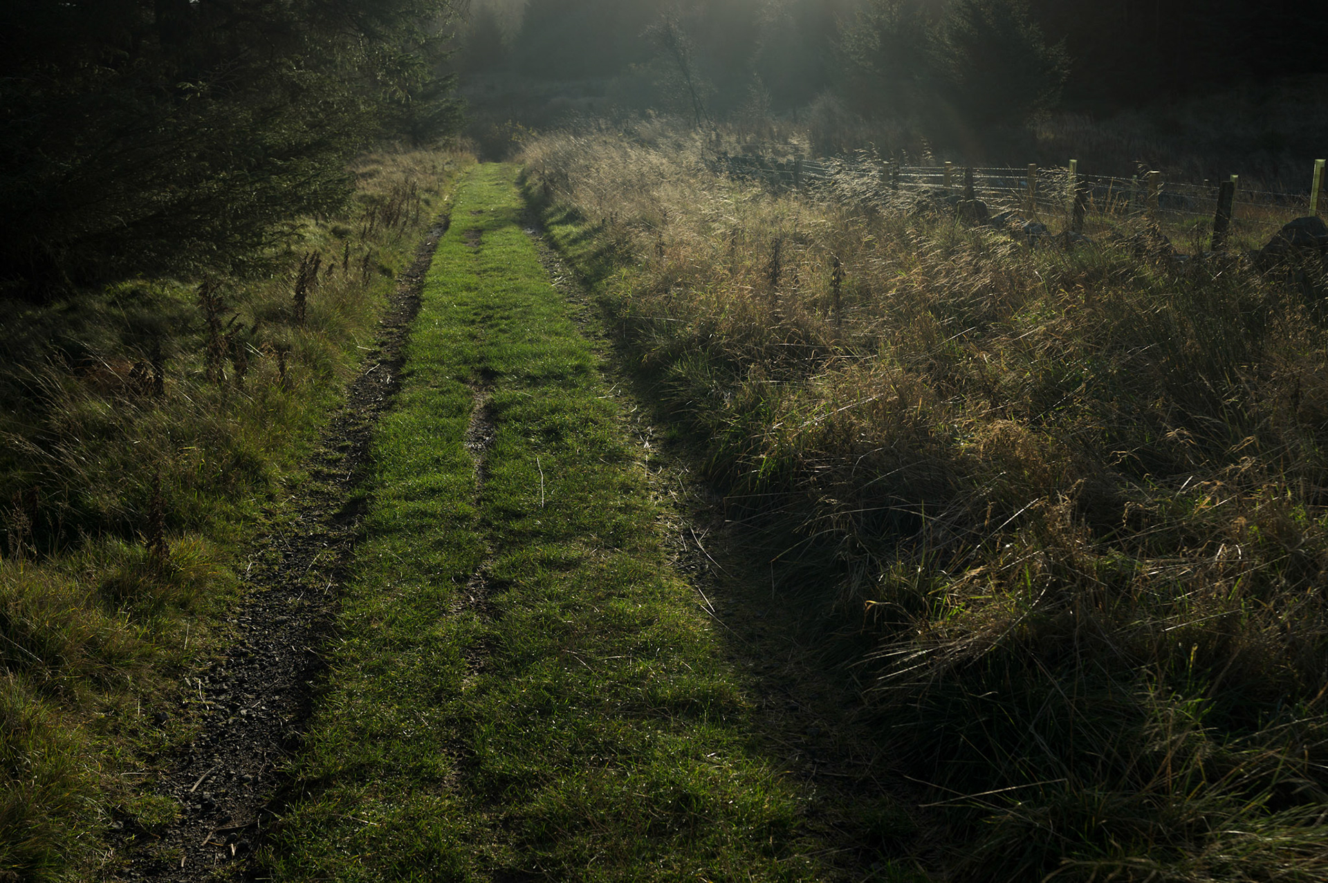 Day hike with Alison Clark