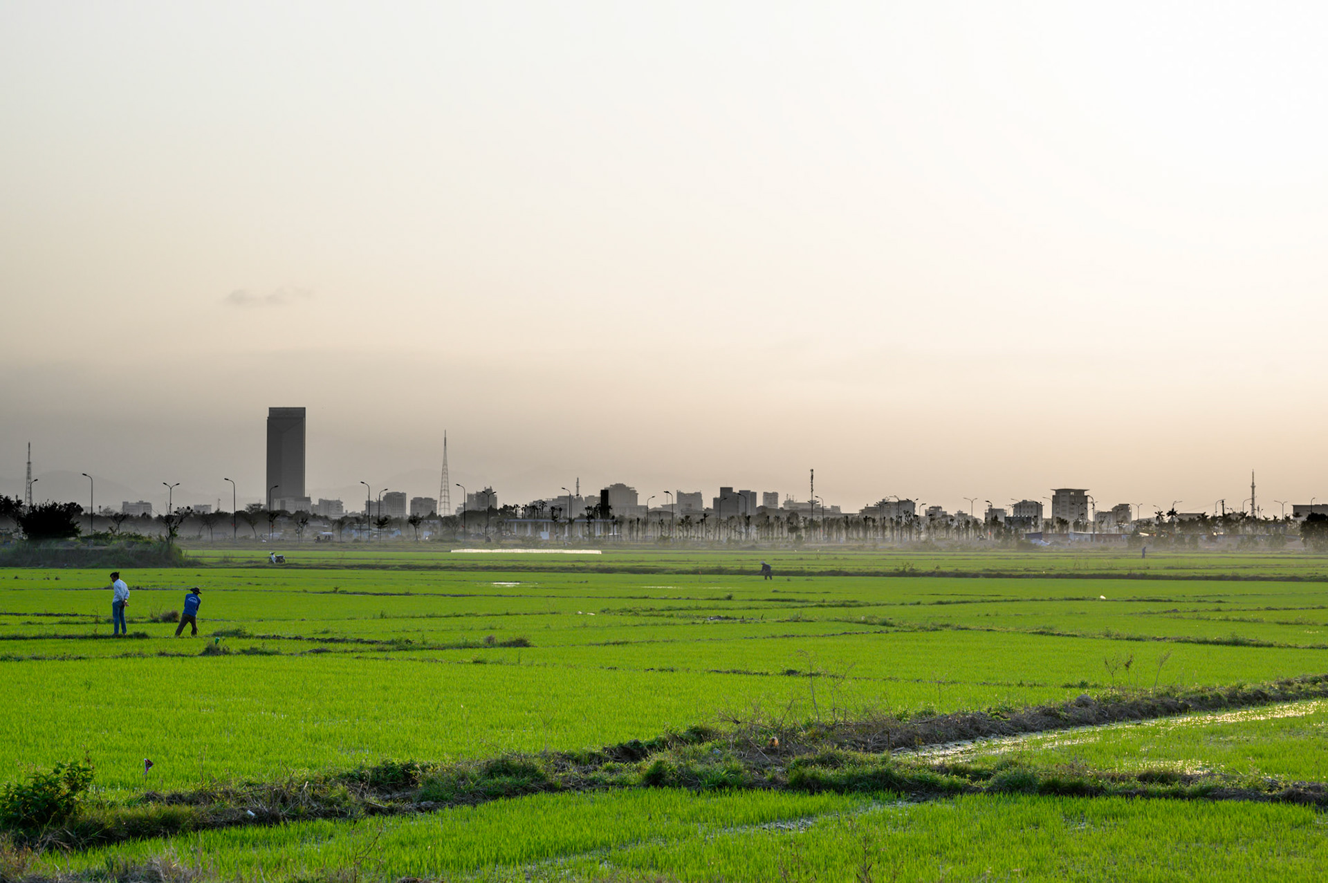 Rice paddies close to Hue