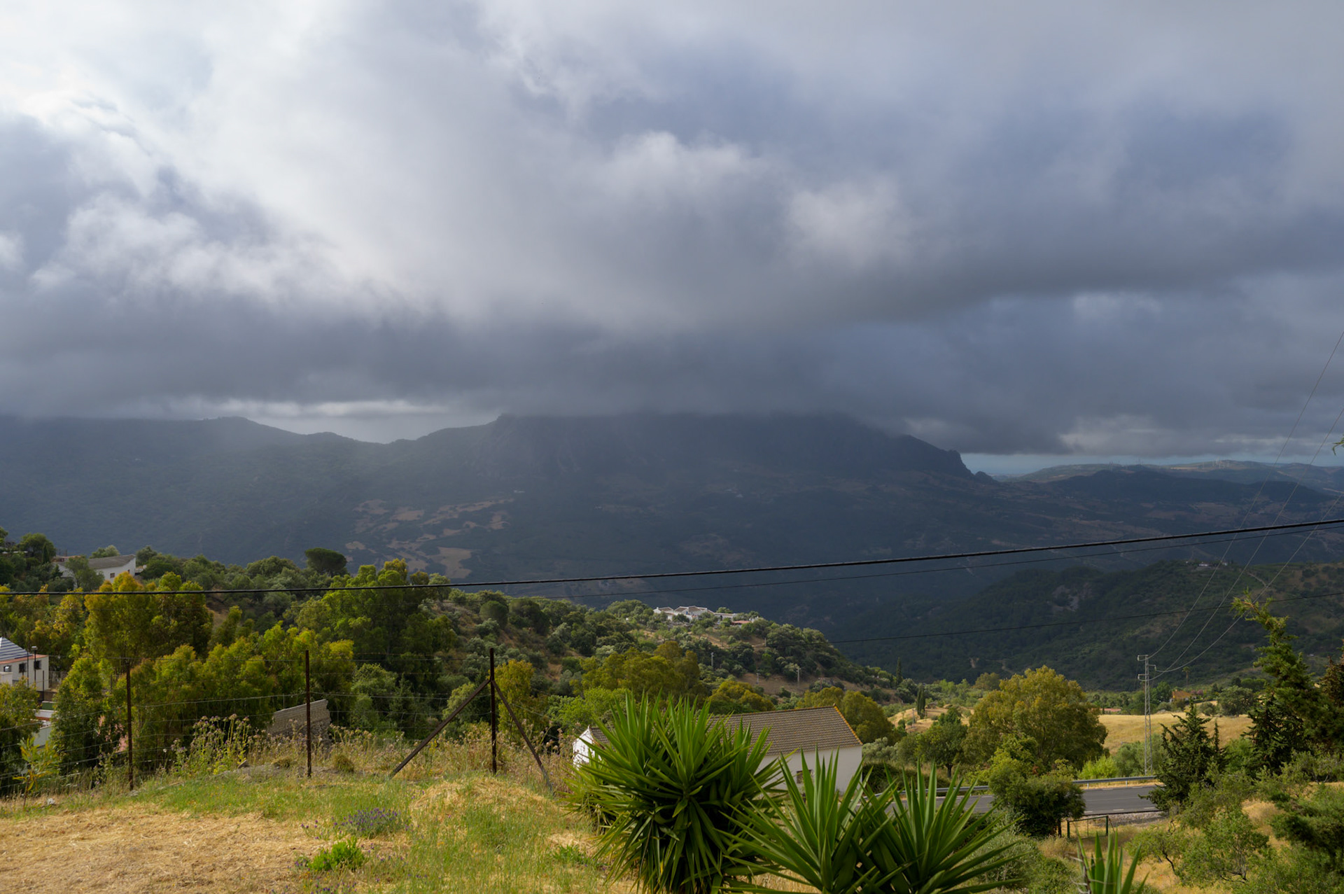 A rare rainy morning that soon cleared.